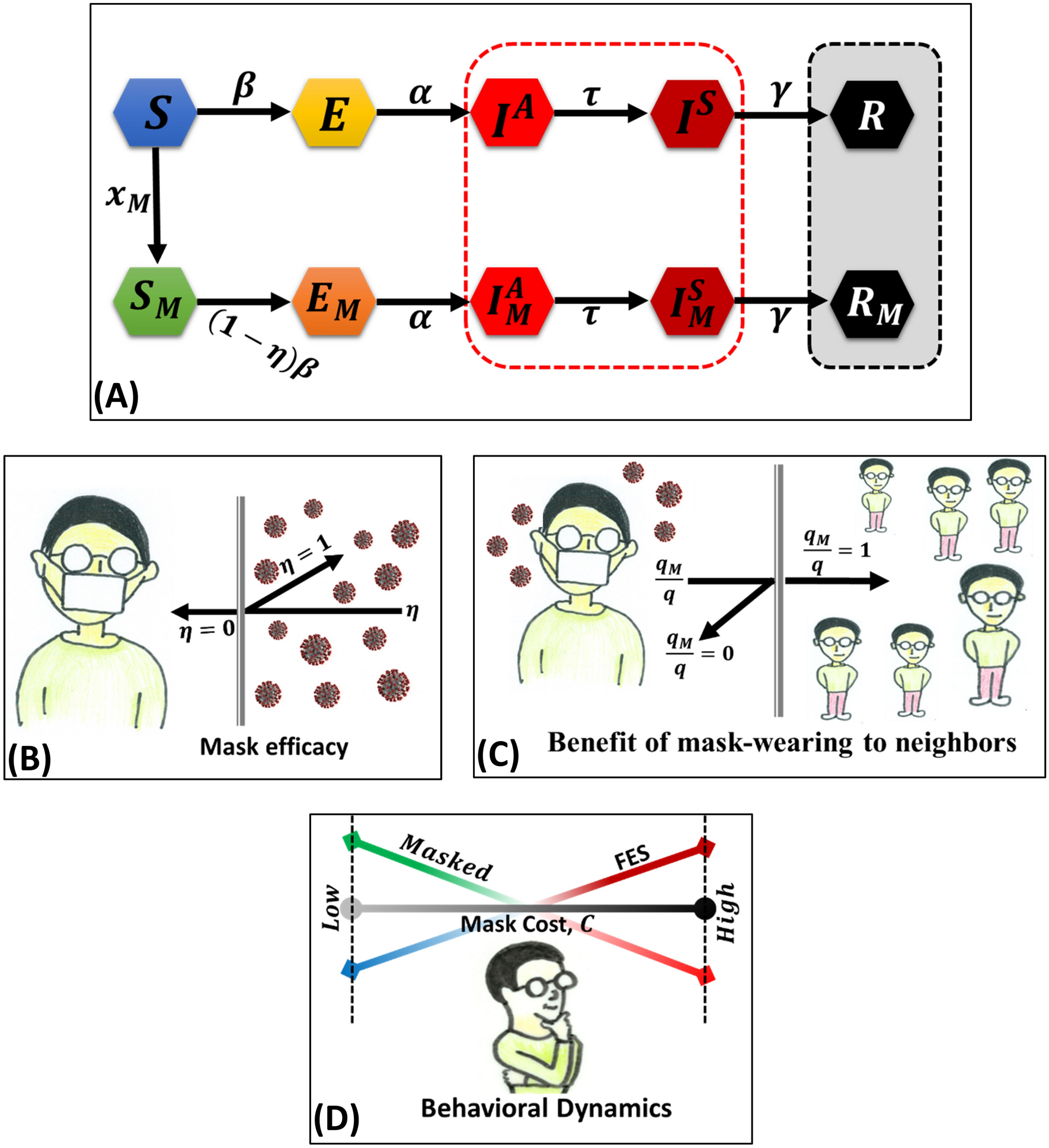 Prosocial behavior of wearing a mask during an epidemic: an evolutionary  explanation | Scientific Reports