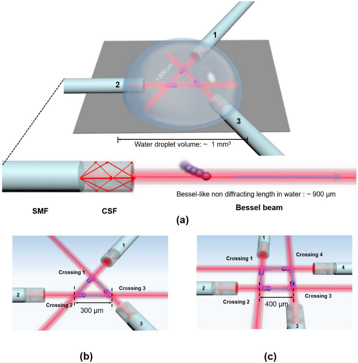 Optical manipulation of a dielectric particle along polygonal closed-loop  geometries within a single water droplet | Scientific Reports