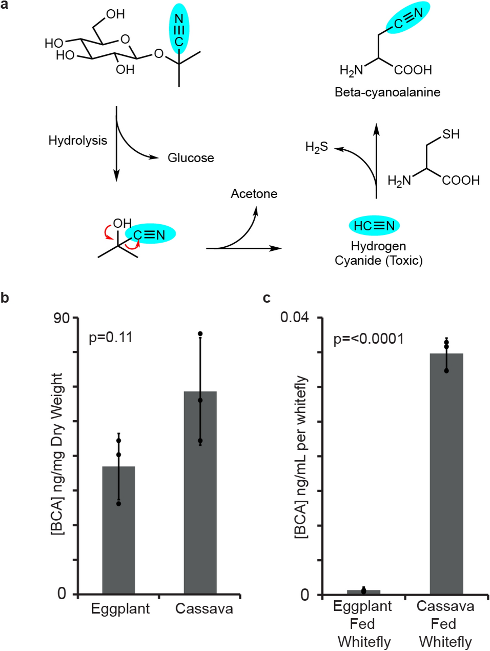 Activation and detoxification of cassava cyanogenic glucosides by the  whitefly Bemisia tabaci | Scientific Reports