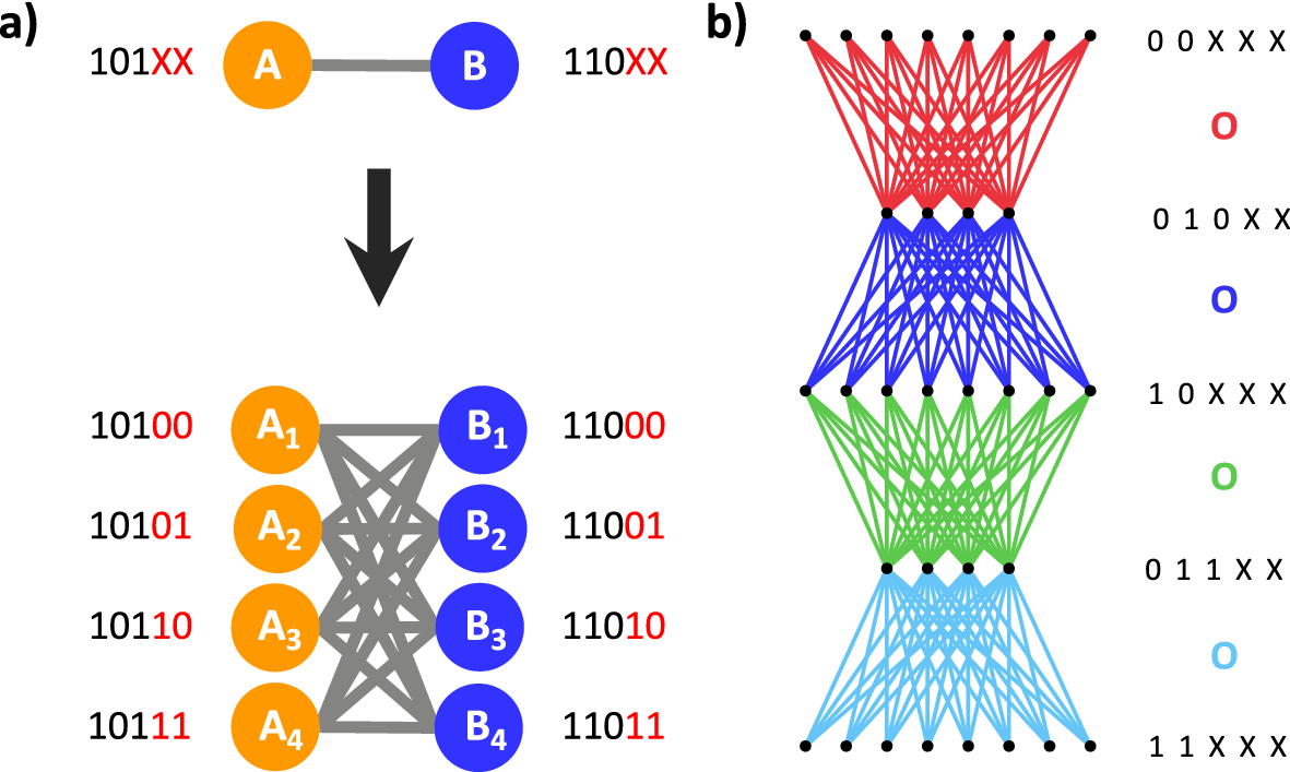 Constructing Graphs From Genetic Encodings Scientific Reports