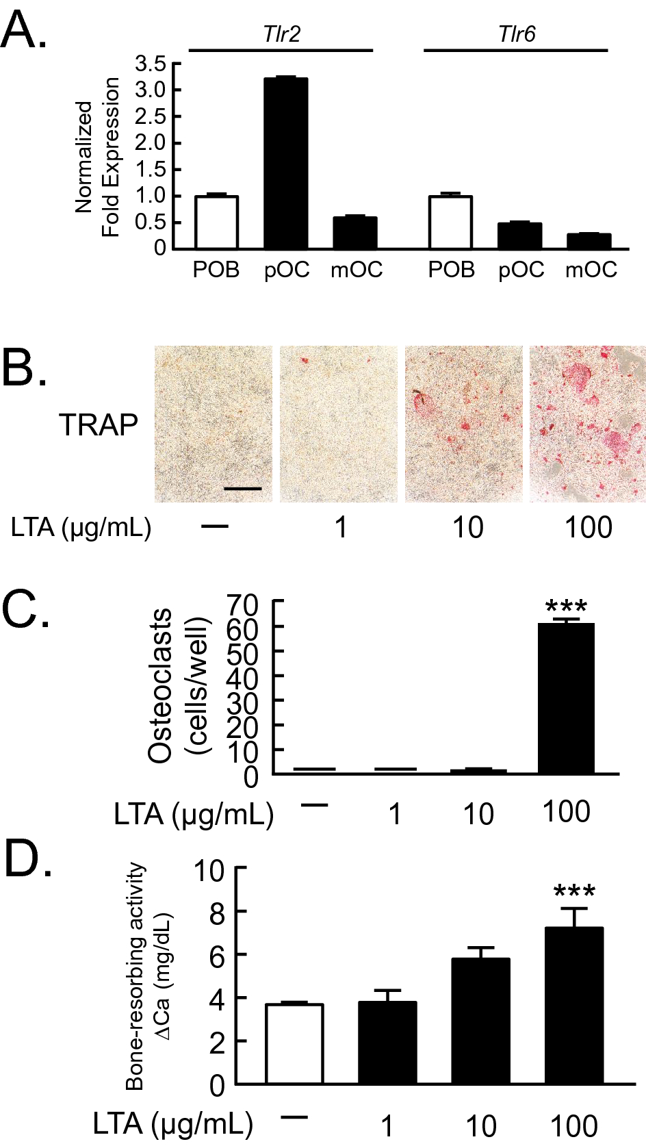 Gram Positive Bacteria Cell Wall Derived Lipoteichoic Acid Induces Inflammatory Alveolar Bone Loss Through Prostaglandin E Production In Osteoblasts Scientific Reports