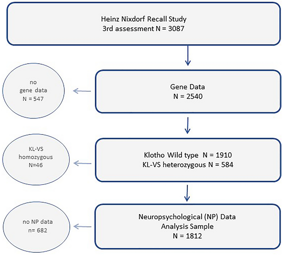 SPANS-X - Short Parallel Assessments of Neuropsychological Status -  Extended (SPANS-X) – Hogrefe - Online testing, psychometric test & training  providers