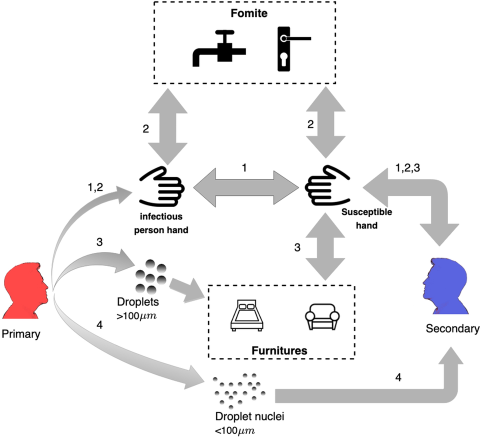 Theoretical Investigation Of Pre Symptomatic Sars Cov 2 Person To Person Transmission In Households Scientific Reports