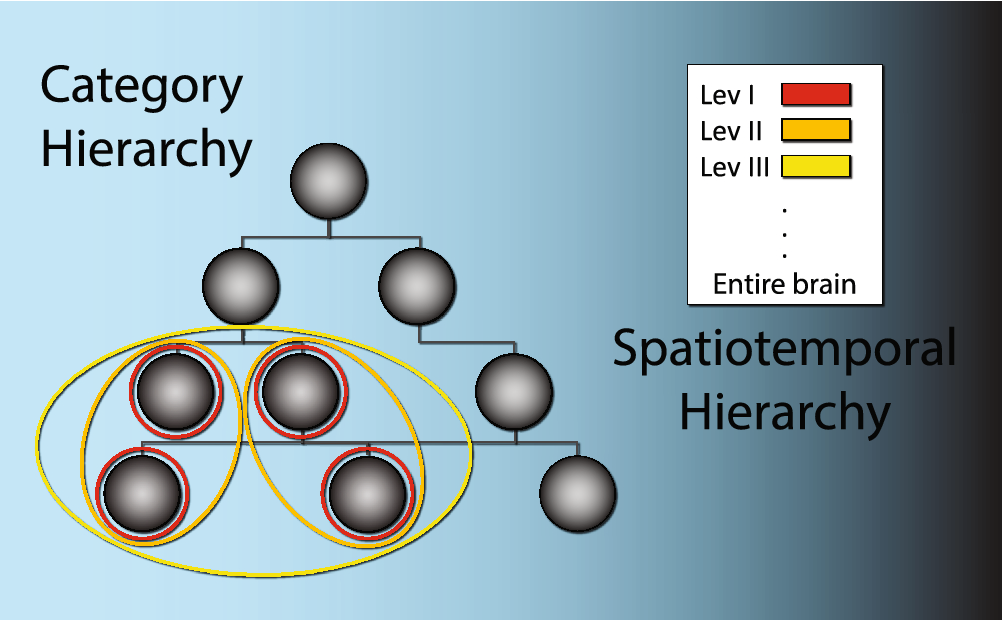 Multiscale Criticality Measures As General Purpose Gauges Of Proper Brain Function Scientific Reports