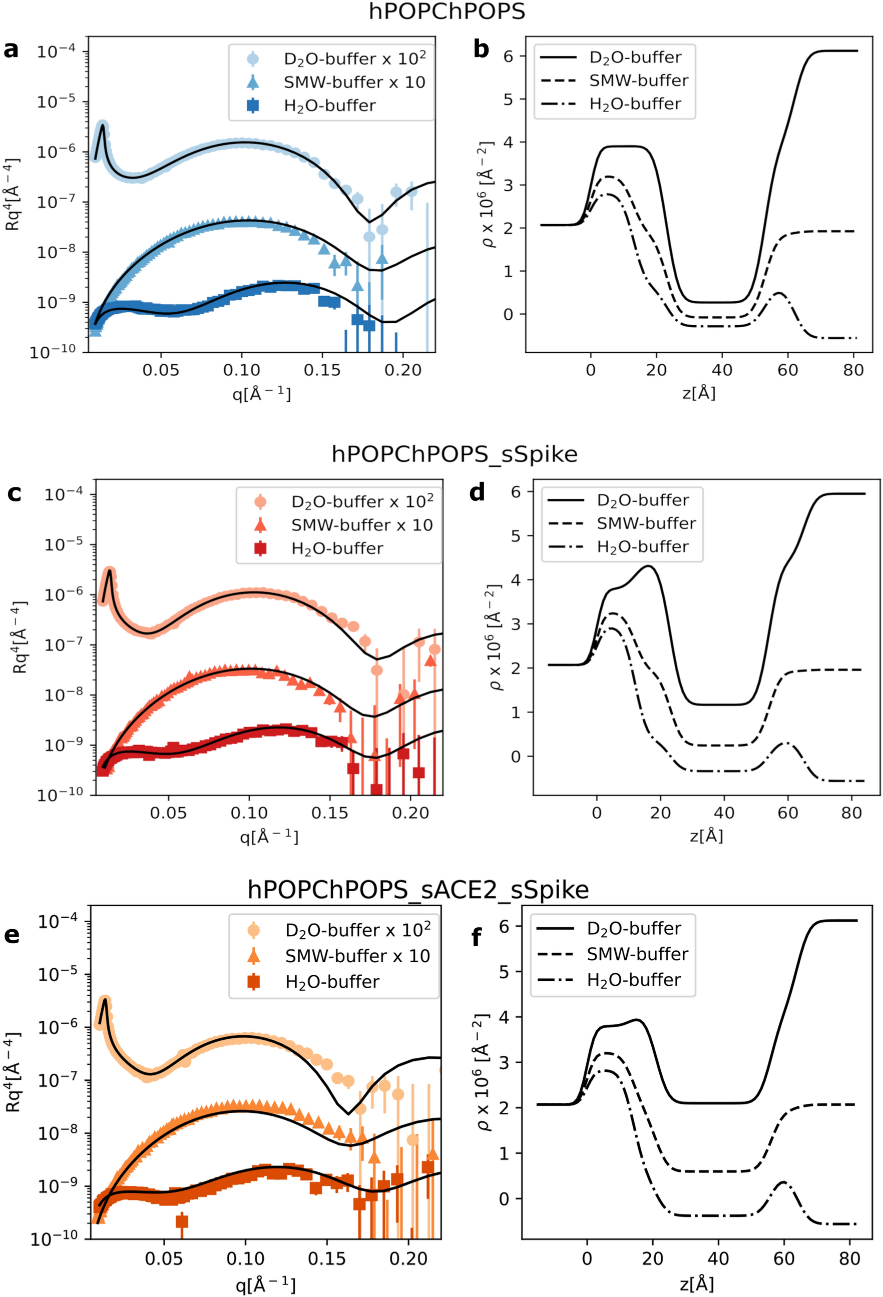 Lipid Bilayer Degradation Induced By Sars Cov 2 Spike Protein As Revealed By Neutron Reflectometry Scientific Reports