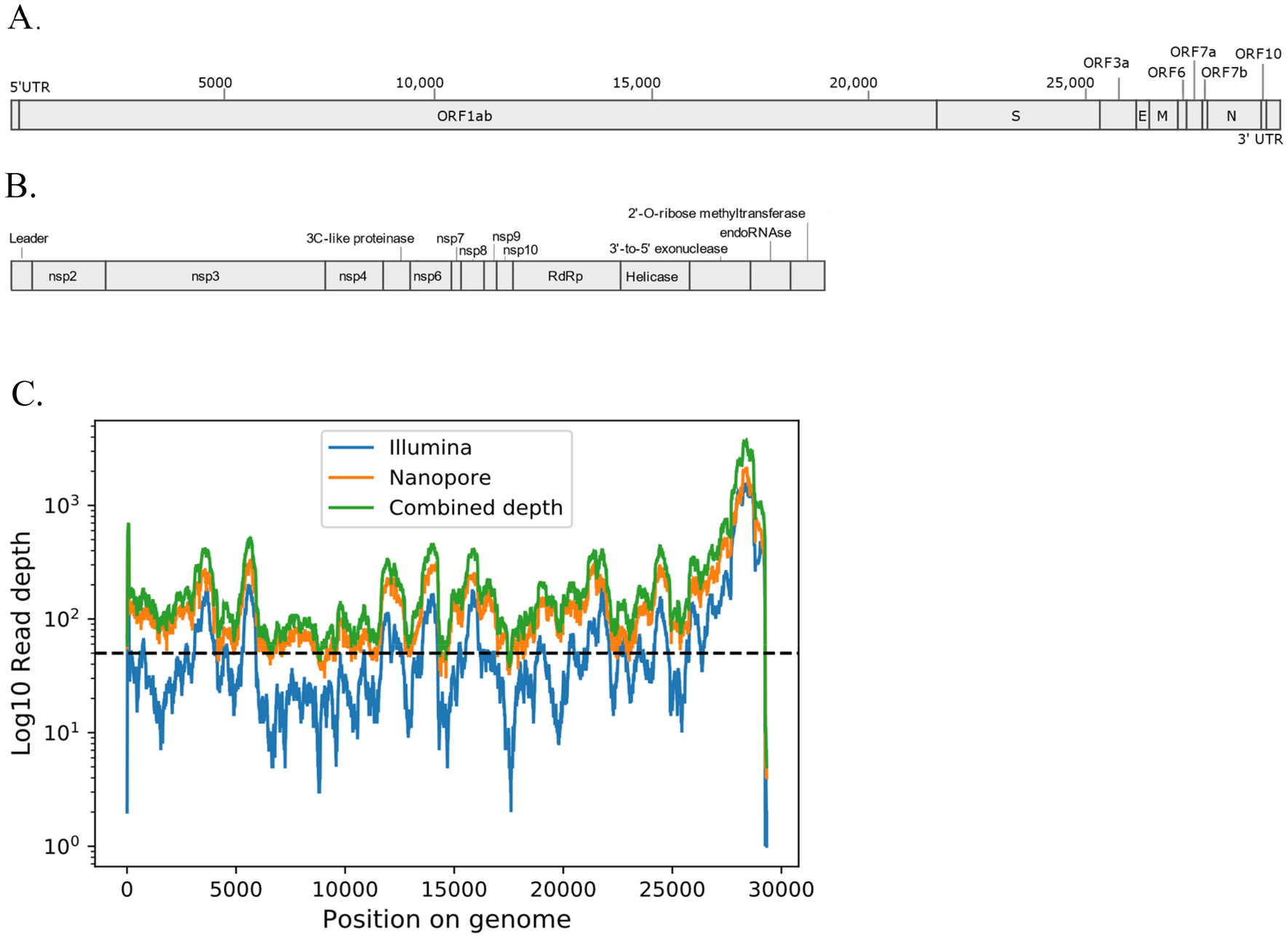 Metagenomic Identification Of A New Sarbecovirus From Horseshoe Bats In Europe Scientific Reports Metagenomic Identification Of A New Sarbecovirus From Horseshoe Bats In Europe Scientific Reports