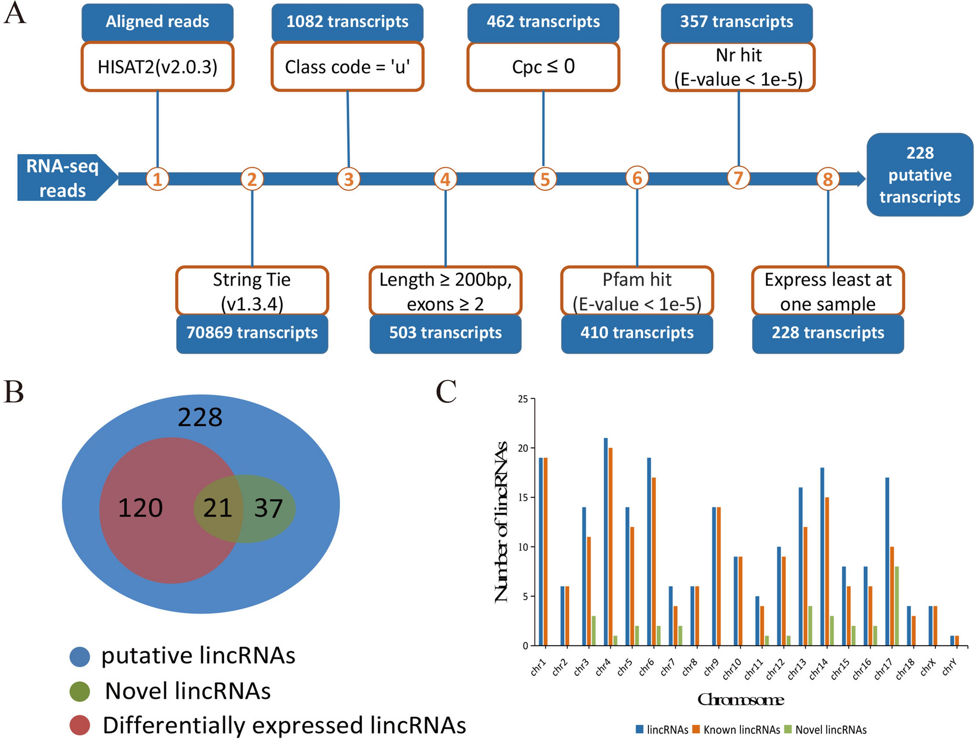 analysis of long intergenic non coding rnas transcriptomic profiling in skeletal muscle growth during porcine embryonic development scientific reports