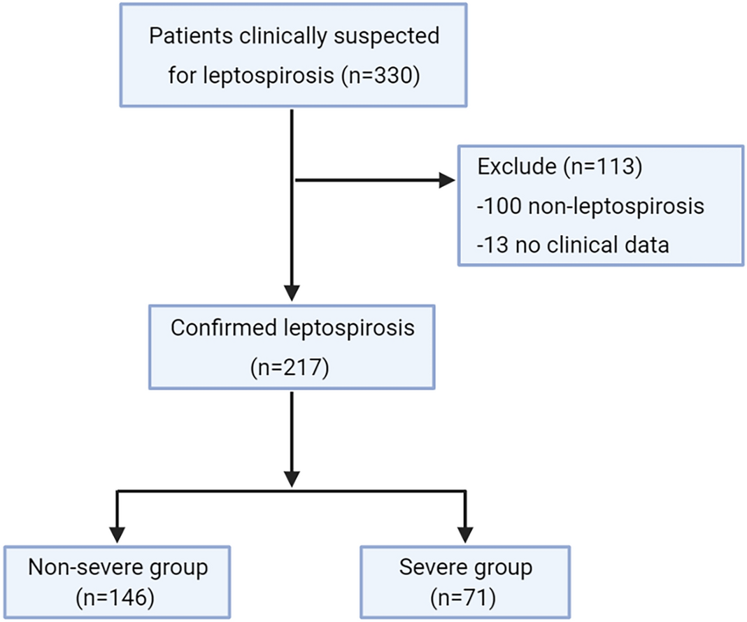 The role of leptospiremia and specific immune response in severe  leptospirosis | Scientific Reports