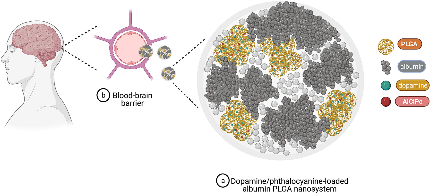 Bioinspired Theranostic Coordination Polymer Nanoparticles for Intranasal  Dopamine Replacement in Parkinson's Disease