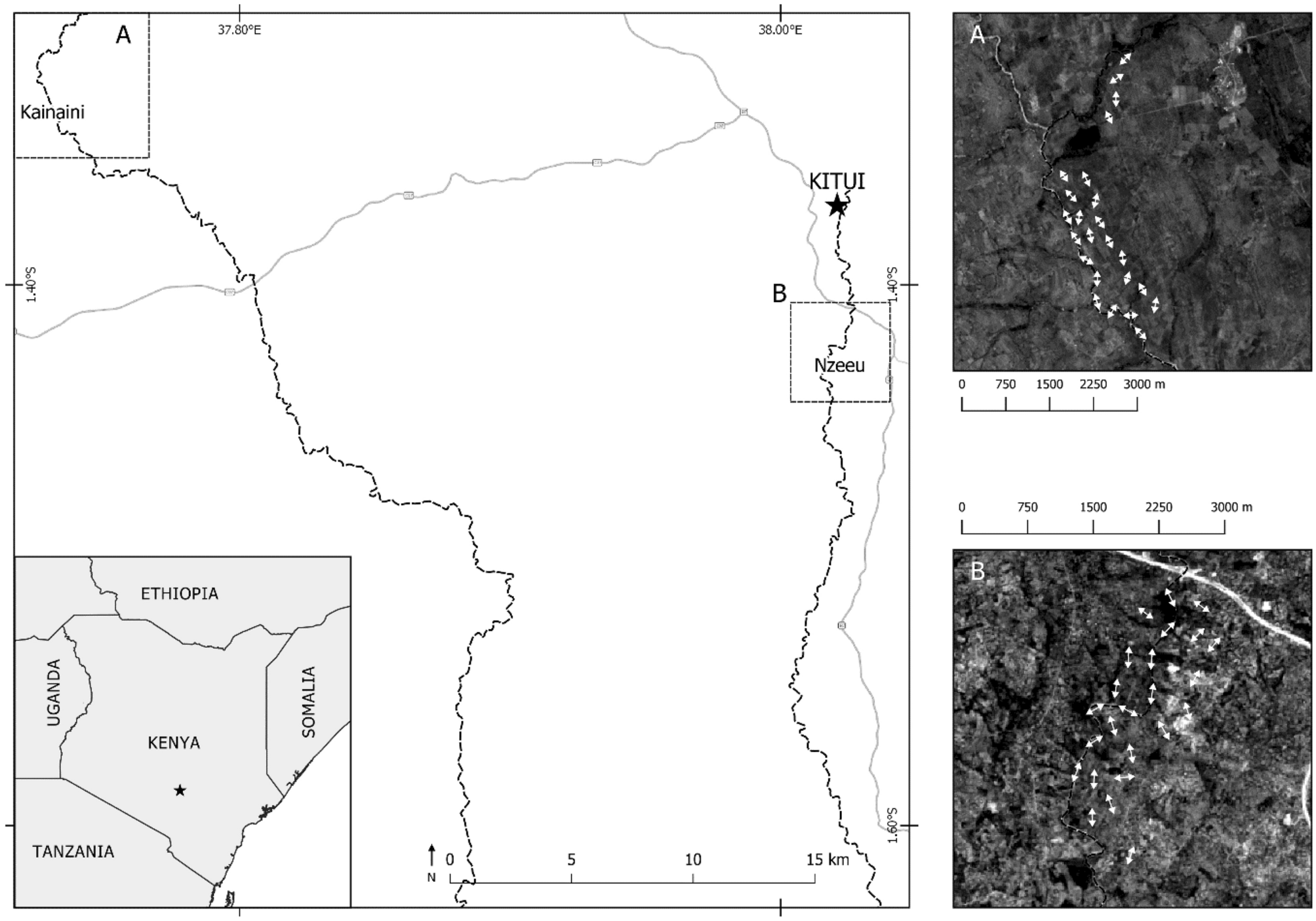 Seasonality and landscape characteristics impact species community  structure and temporal dynamics of East African butterflies | Scientific  Reports