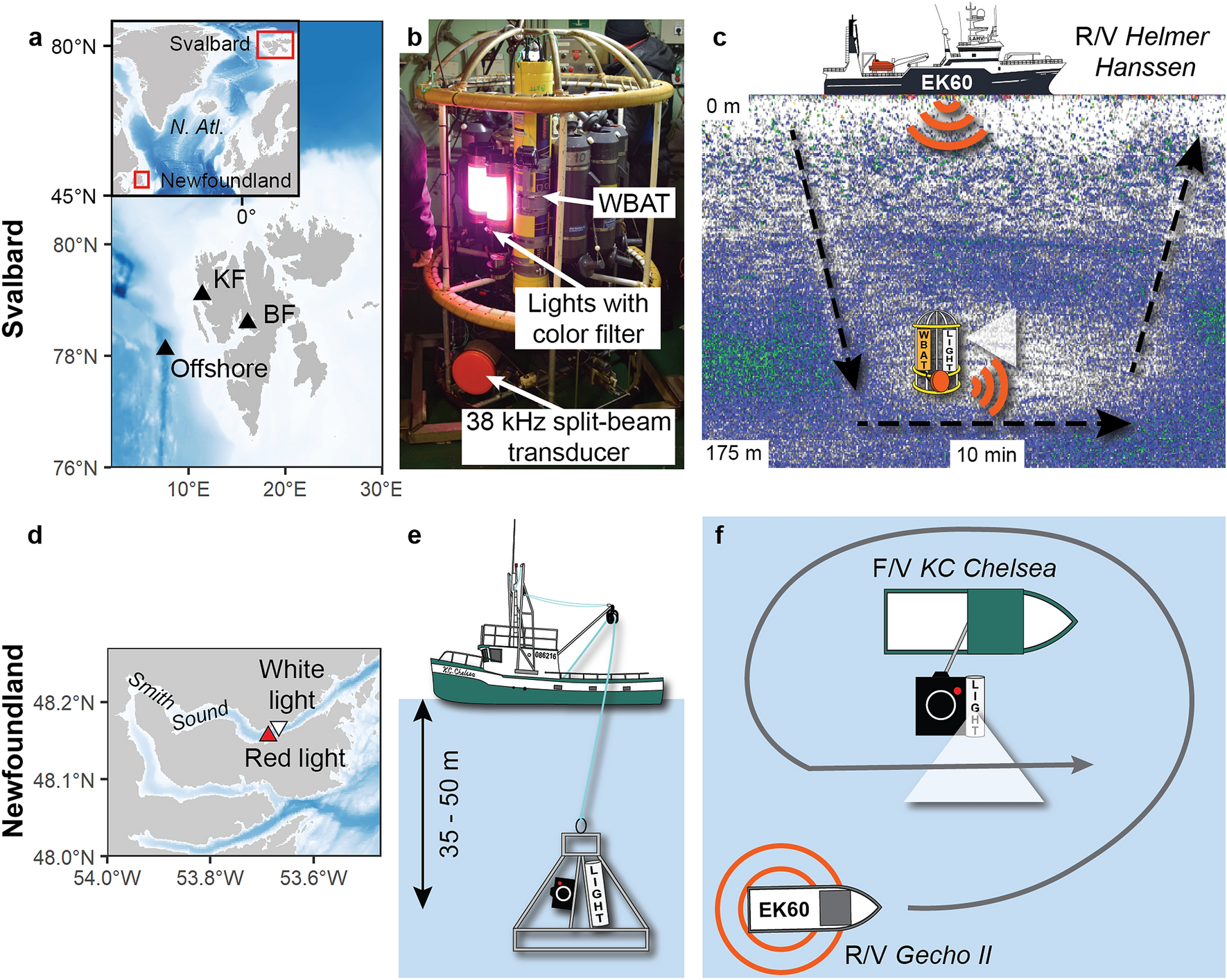 Pelagic organisms avoid white, blue, and red artificial light from  scientific instruments