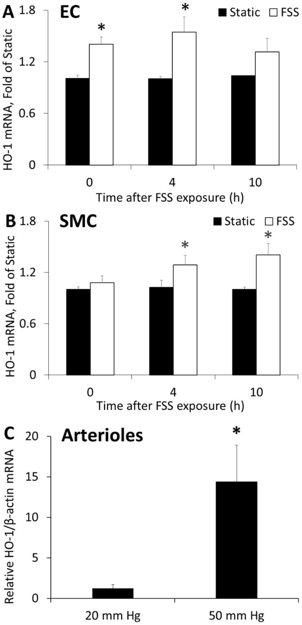 Fluid shear stress regulates placental growth factor expression via heme  oxygenase 1 and iron | Scientific Reports