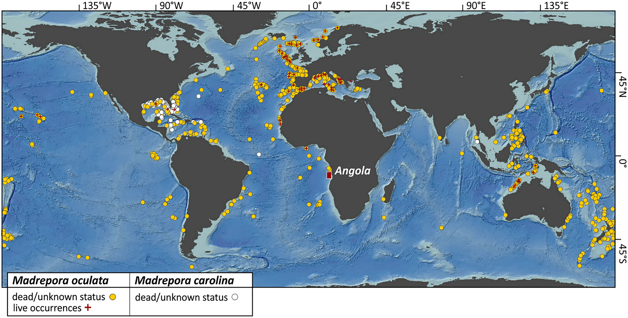 Madrepora oculata forms large frameworks in hypoxic waters off Angola (SE  Atlantic) | Scientific Reports
