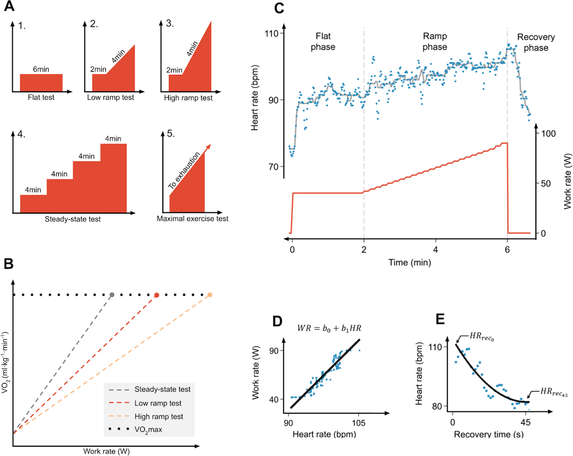 Dose-Response Association Between Level of Physical Activity and Mortality  in Normal, Elevated, and High Blood Pressure