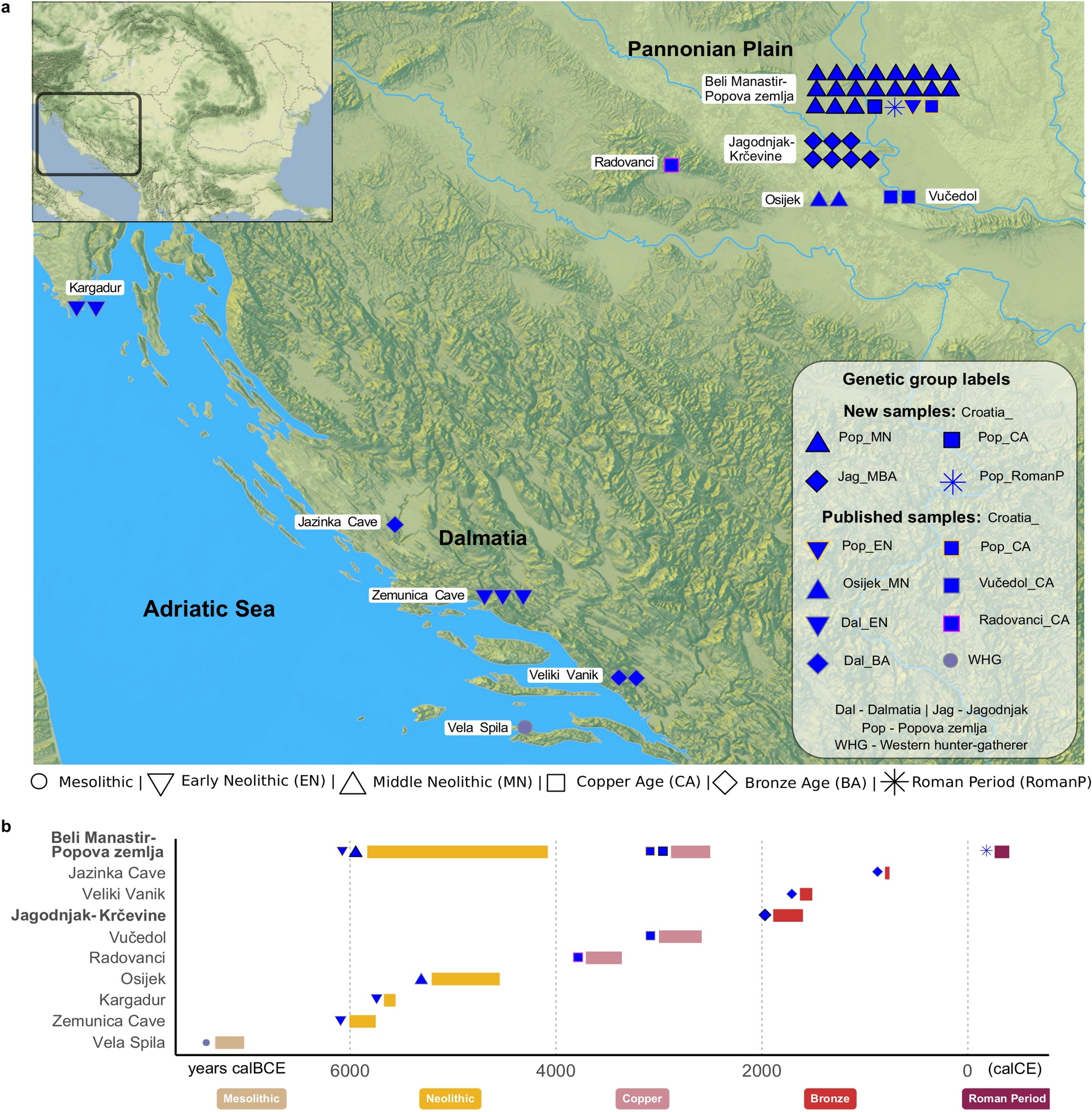 Reconstructing genetic histories and social organisation in Neolithic and  Bronze Age Croatia | Scientific Reports