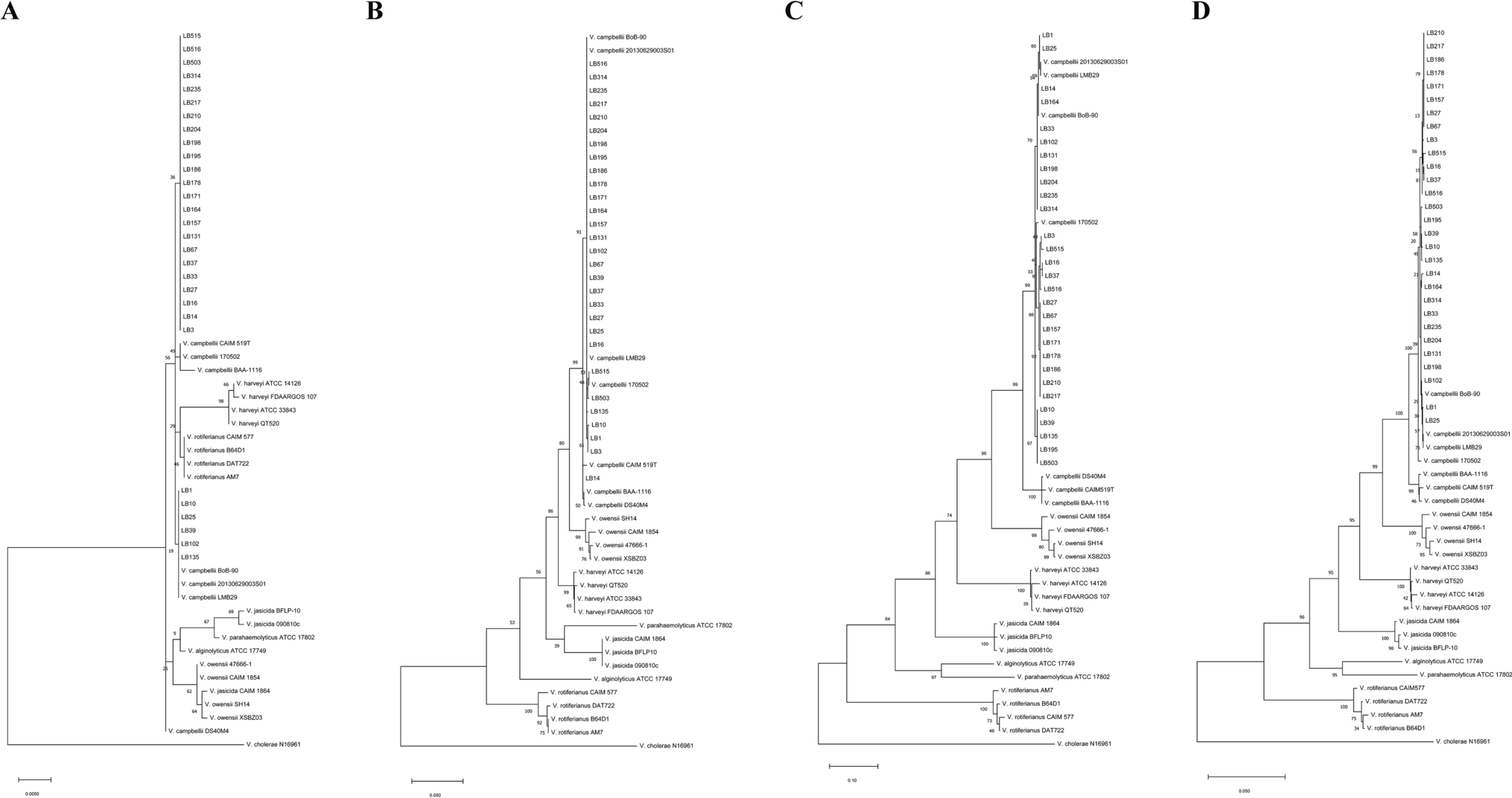 (PDF) Epidemiologic potentials and correlational analysis of Vibrio species  and virulence toxins from water sources in greater Bushenyi districts,  Uganda