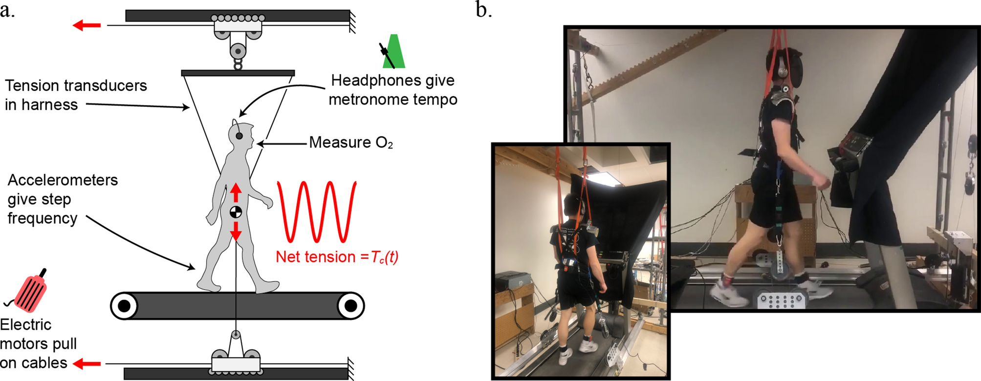 Plane Traversing Oscillator