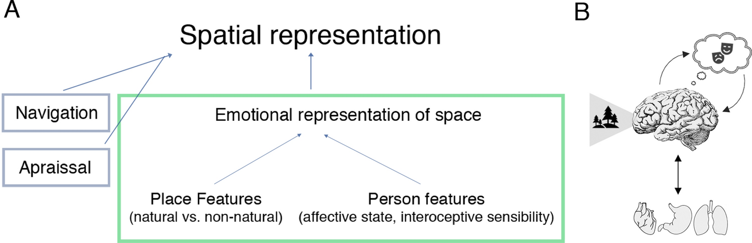 The Emotions We Feel May Shape What We See – Association for