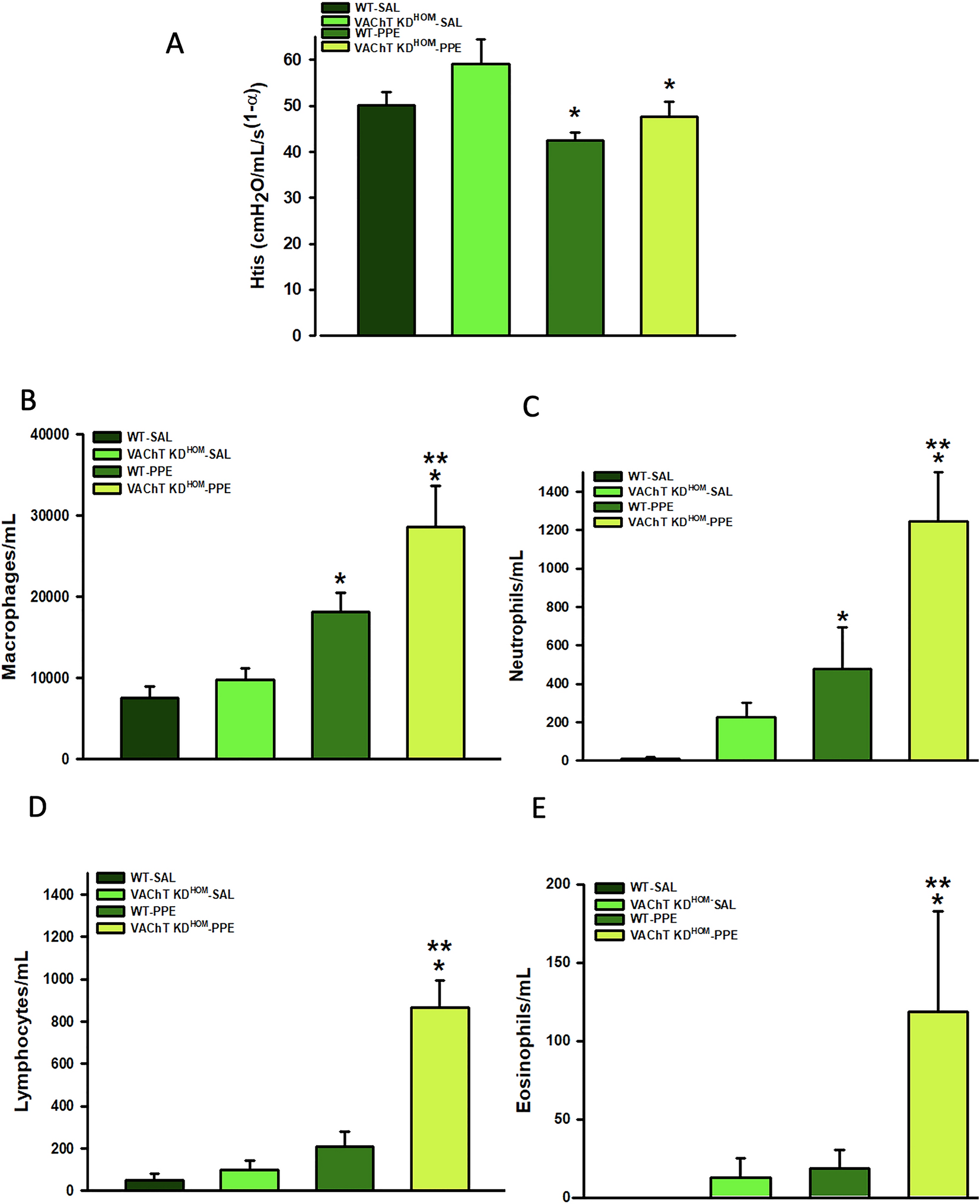 Long-term endogenous acetylcholine deficiency potentiates pulmonary inflammation in a murine model of elastase-induced emphysema | Reports