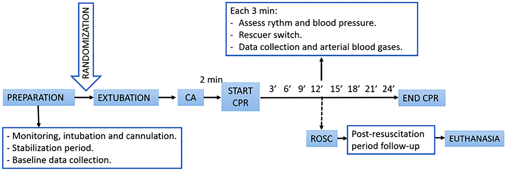 vce designer randomize vce designer randomize