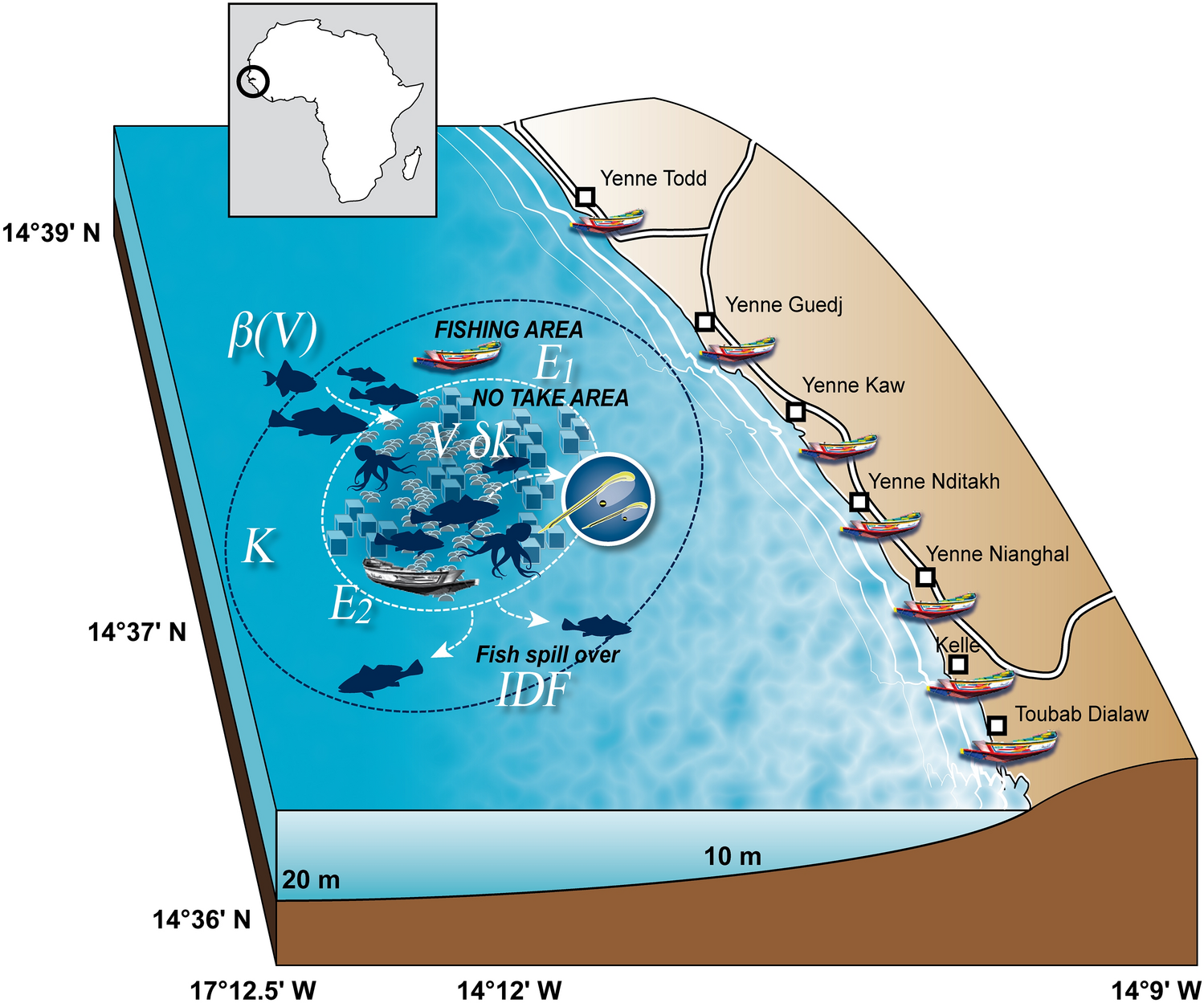 Successful artificial reefs depend on getting the context right due to  complex socio-bio-economic interactions