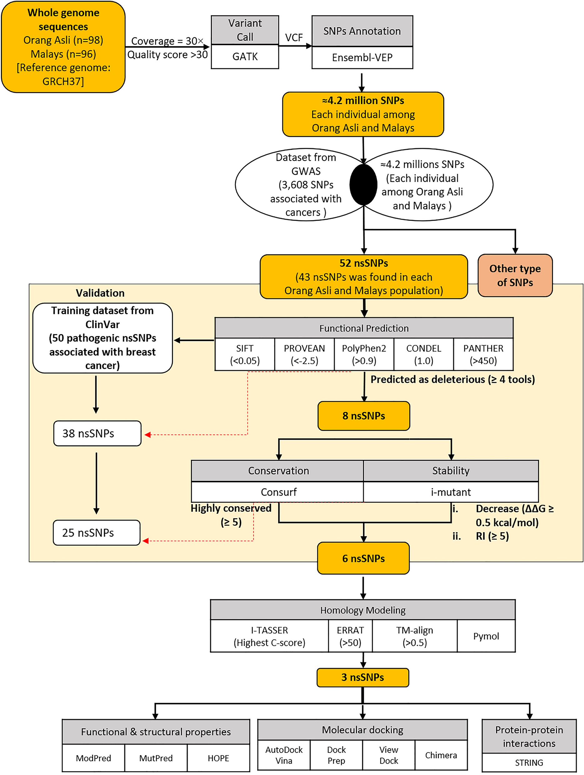 Pathogenic Nssnps That Increase The Risks Of Cancers Among The Orang Asli And Malays Scientific Reports Pathogenic Nssnps That Increase The Risks Of Cancers Among The Orang Asli And Malays Scientific Reports