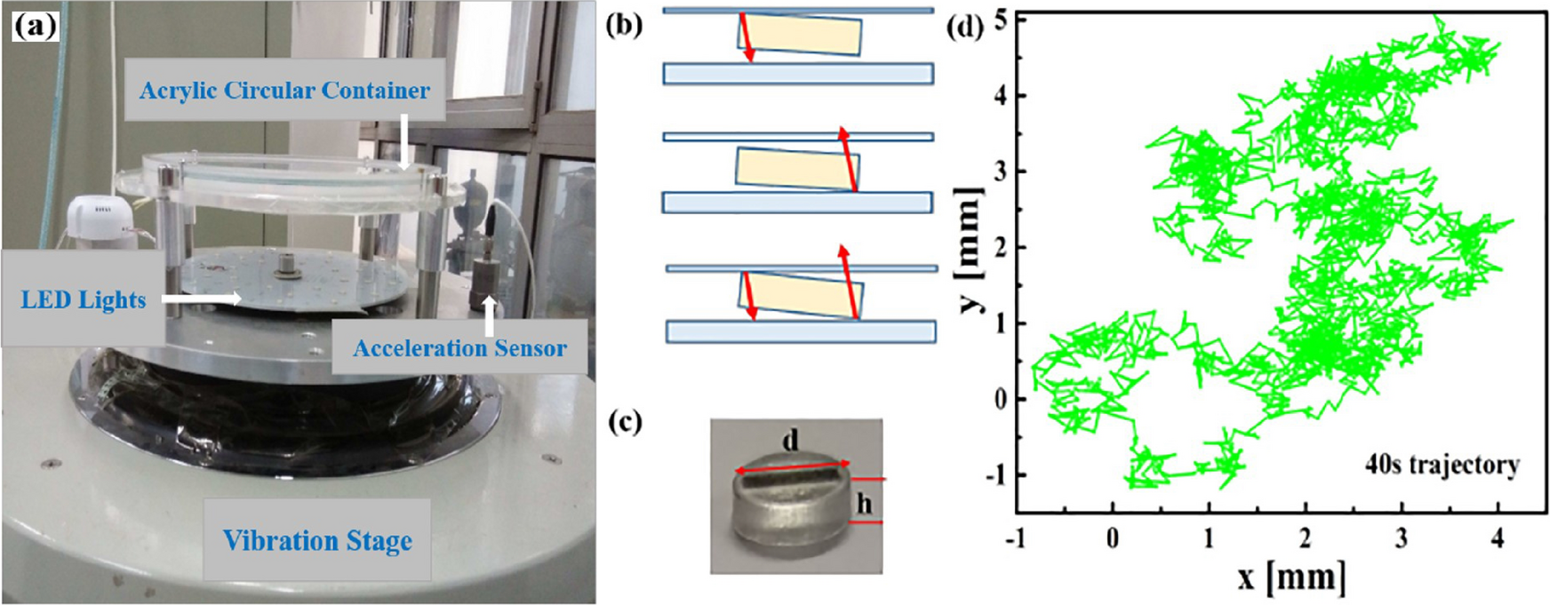Dynamics of a vibration-driven single disk | Scientific Reports