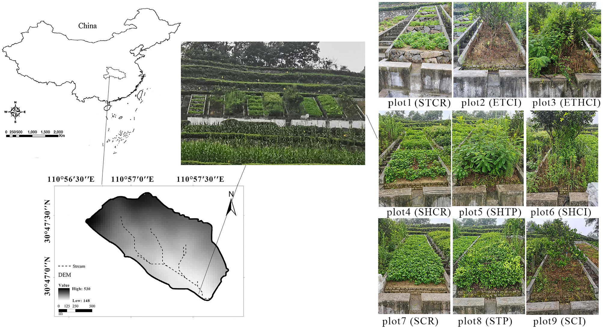 Disturbed Sites and Steep Slopes Planting Guide