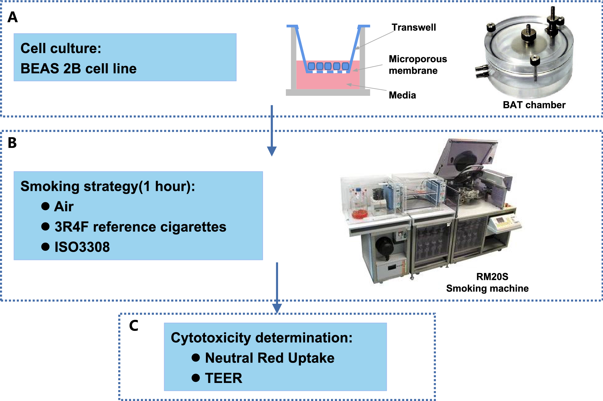 Signaling pathway perturbation analysis for assessment of biological impact  of cigarette smoke on lung cells