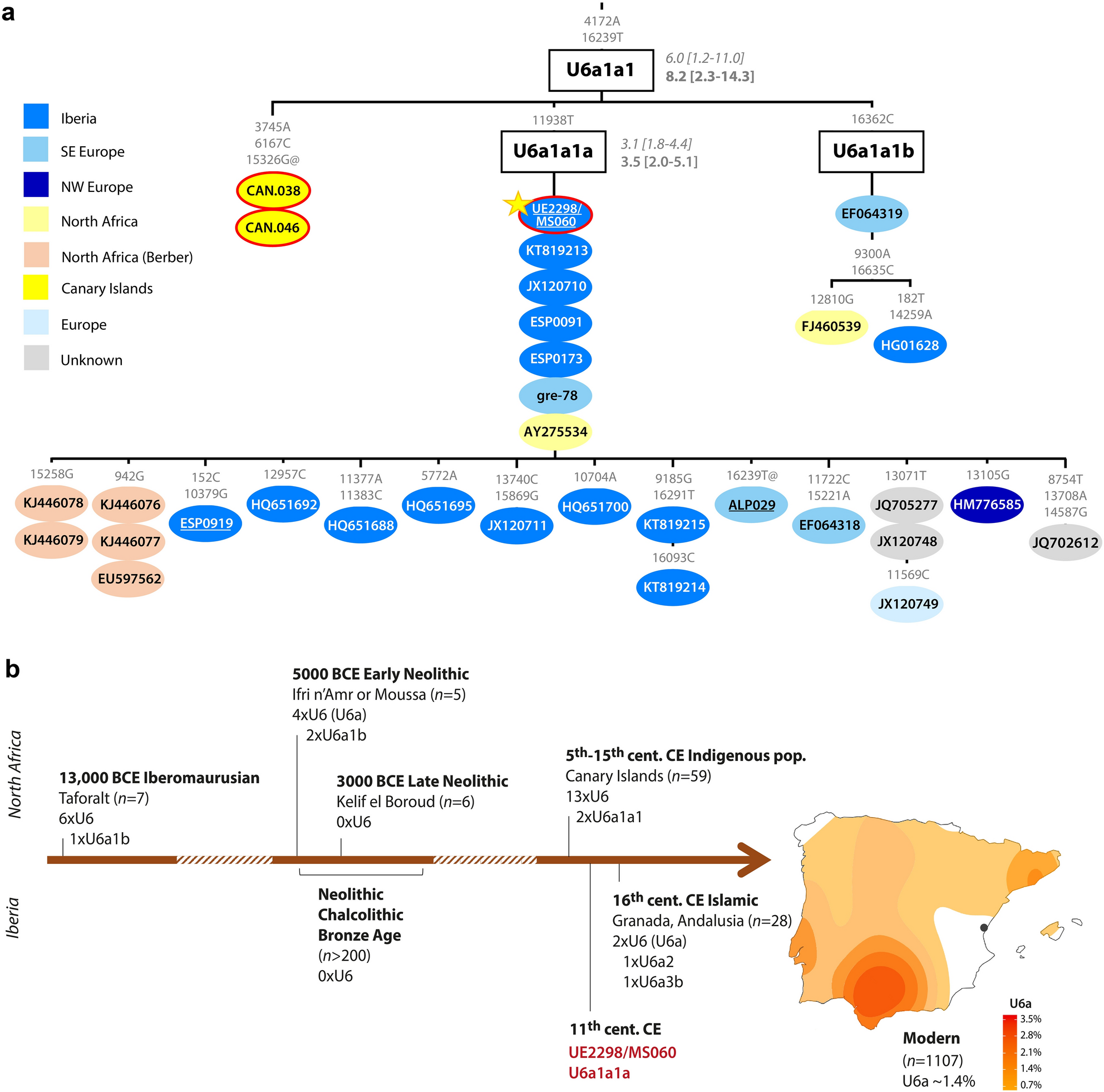 Biomolecular insights into North African-related ancestry 