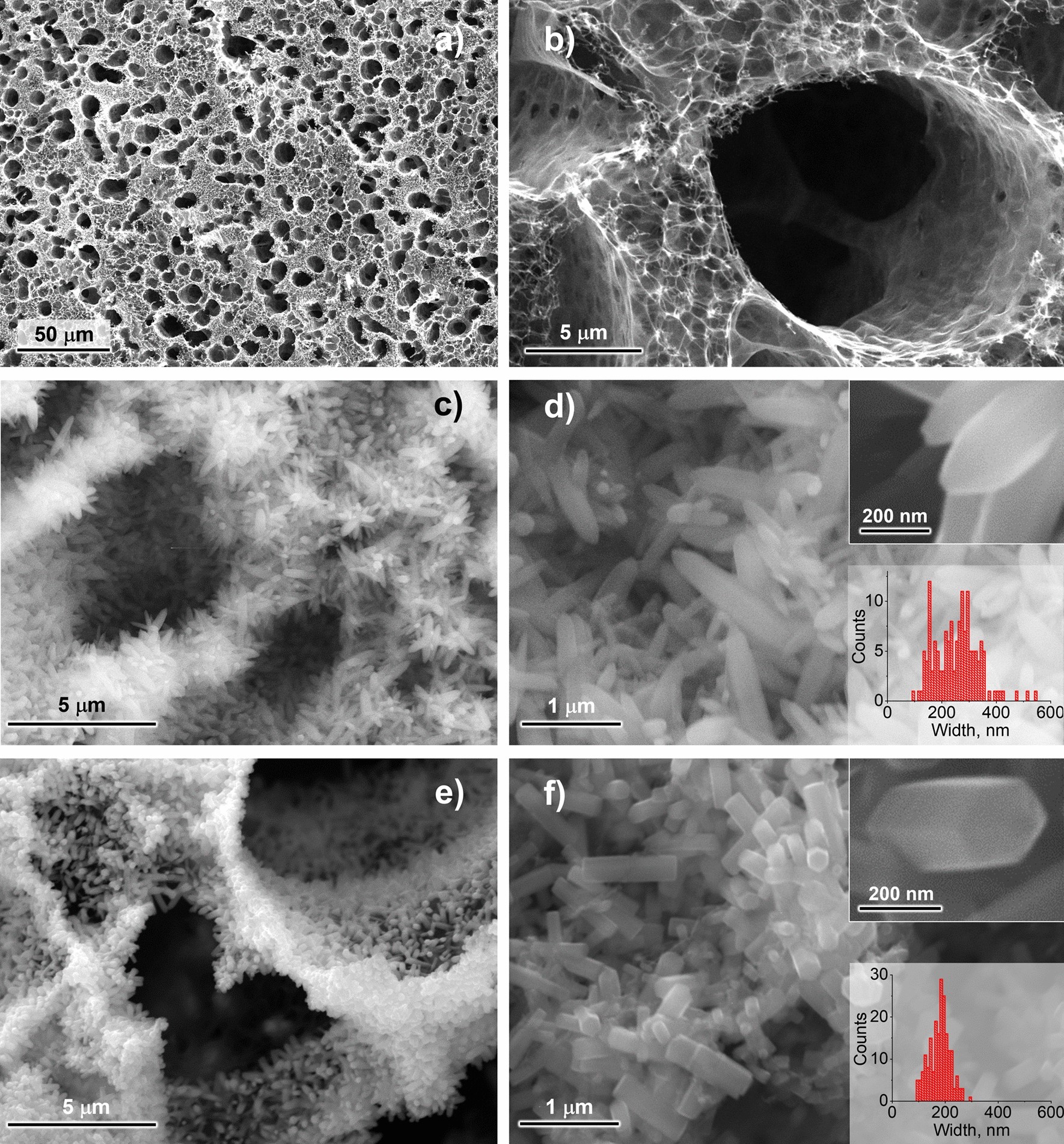 Electrochemical And Photoluminescence Response Of Laser Induced Graphene Electrodeposited Zno Composites Scientific Reports