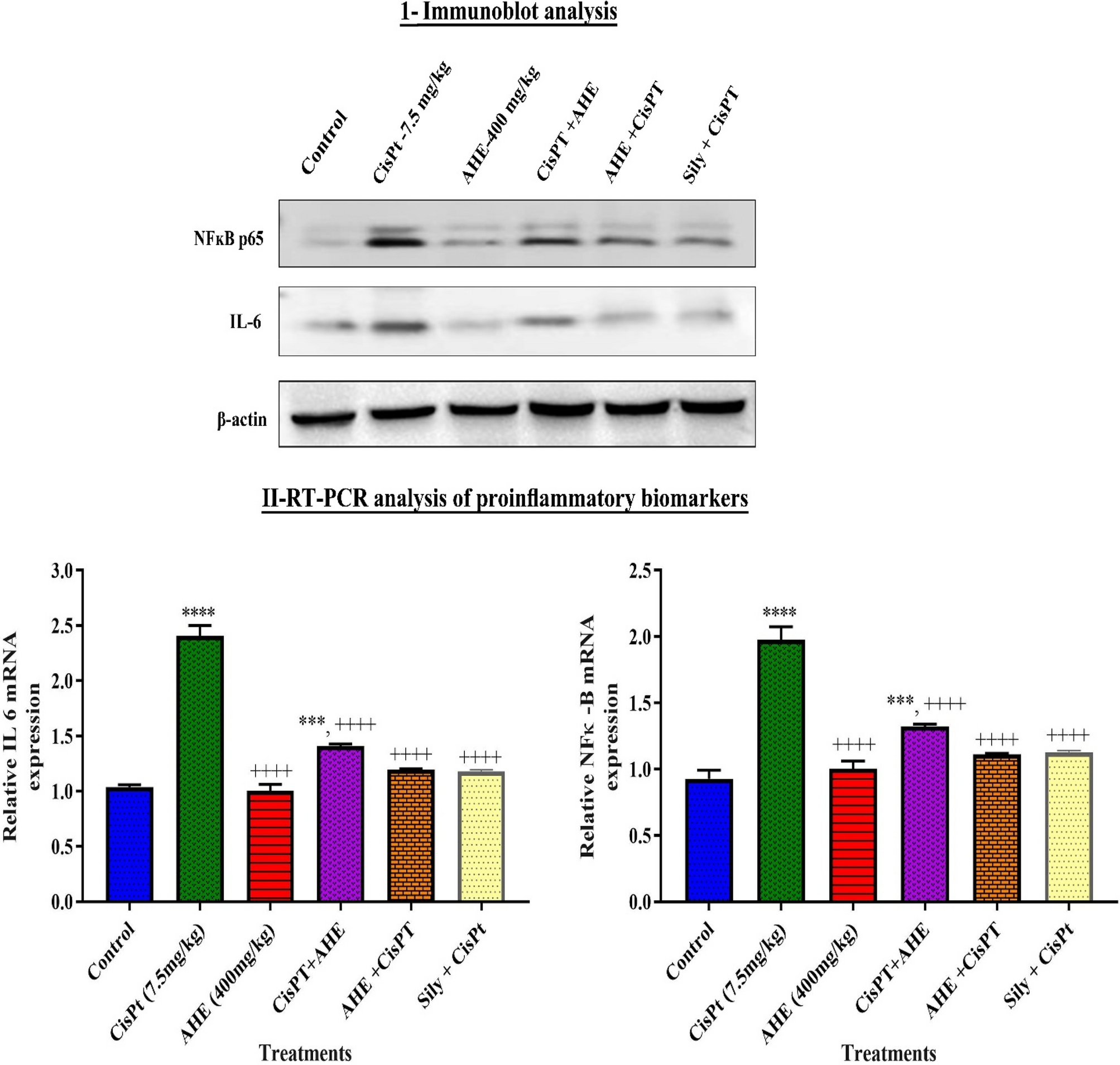 Pdf Gum Arabic Establishes Prebiotic Functionality In Healthy Human Volunteers In A Dose Dependent Manner