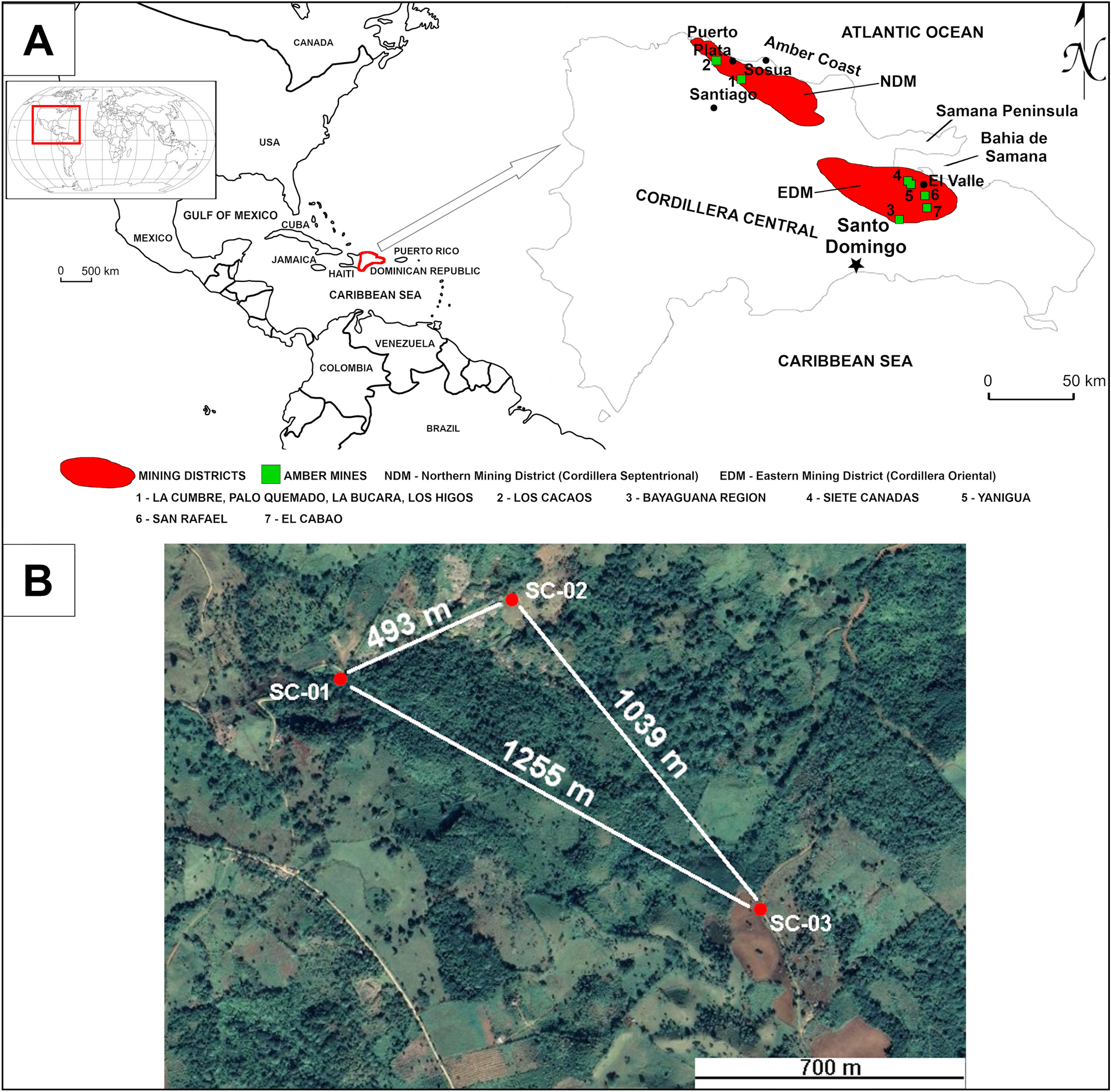 The study of Dominican amber-bearing sediments from Siete Cañadas and La  Cumbre with a discussion on their origin | Scientific Reports
