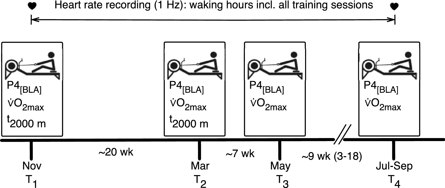 Exercise Standards for Testing and Training