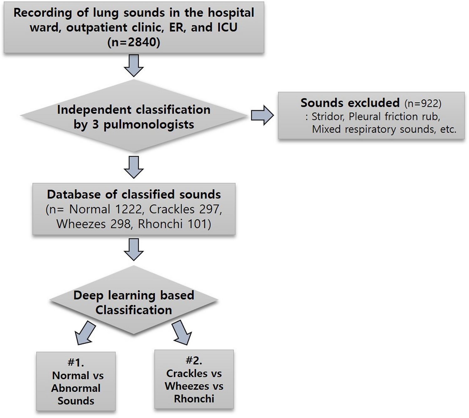 Respiratory sound classification for crackles, wheezes, and rhonchi in the  clinical field using deep learning | Scientific Reports