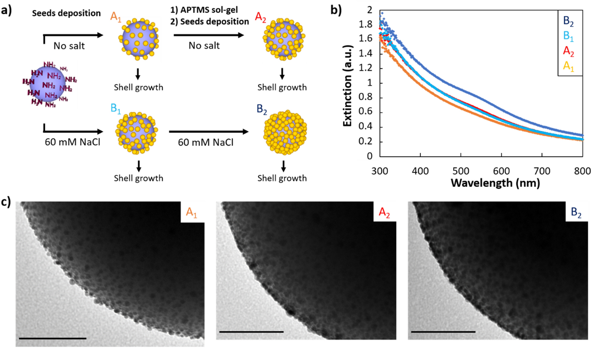 Seeded Growth Of Ultrathin Gold Nanoshells Using Polymer Additives And Microwave Radiation Scientific Reports