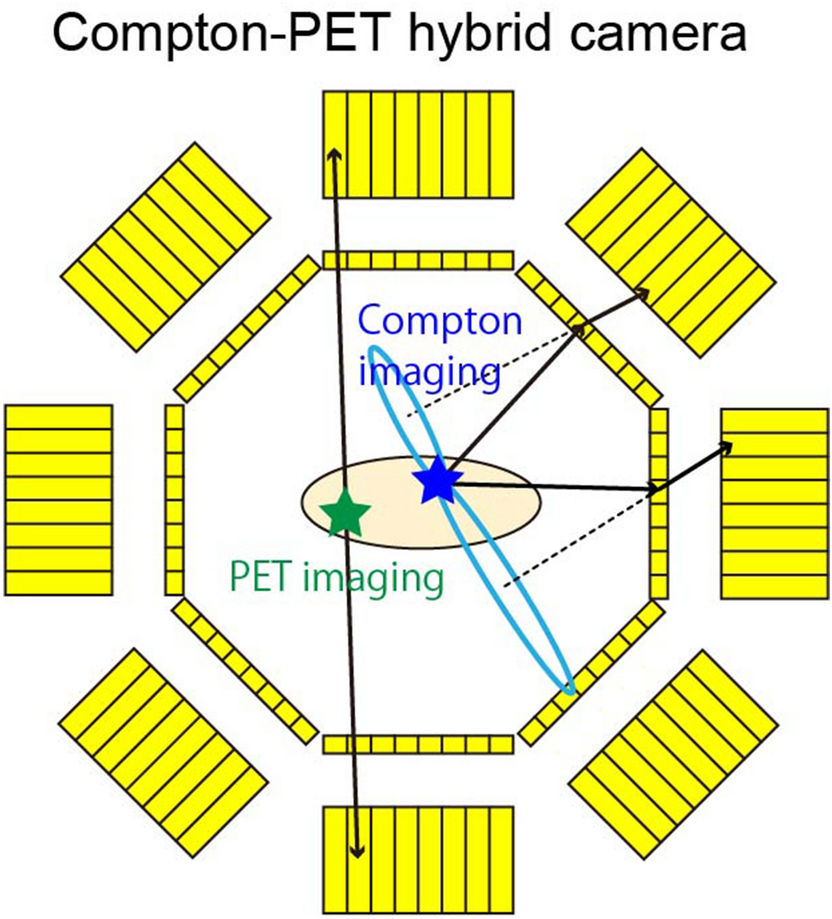 in vivo imaging with PET SPECT tracers using a Compton-PET hybrid | Scientific Reports