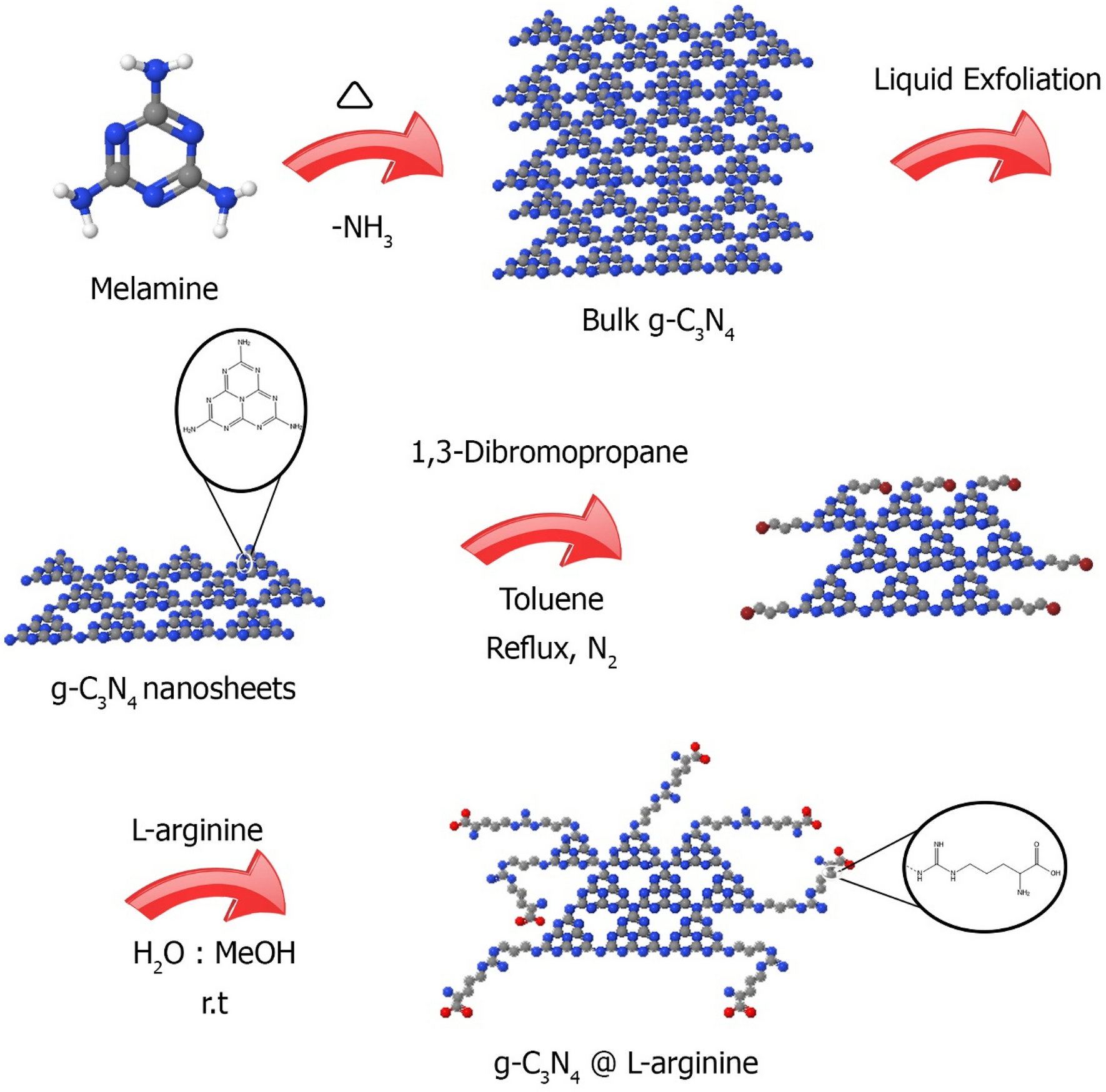 Preparation And Characterization Of Graphitic Carbon Nitride Supported L Arginine As A Highly Efficient And Recyclable Catalyst For The One Pot Synthesis Of Condensation Reactions Scientific Reports