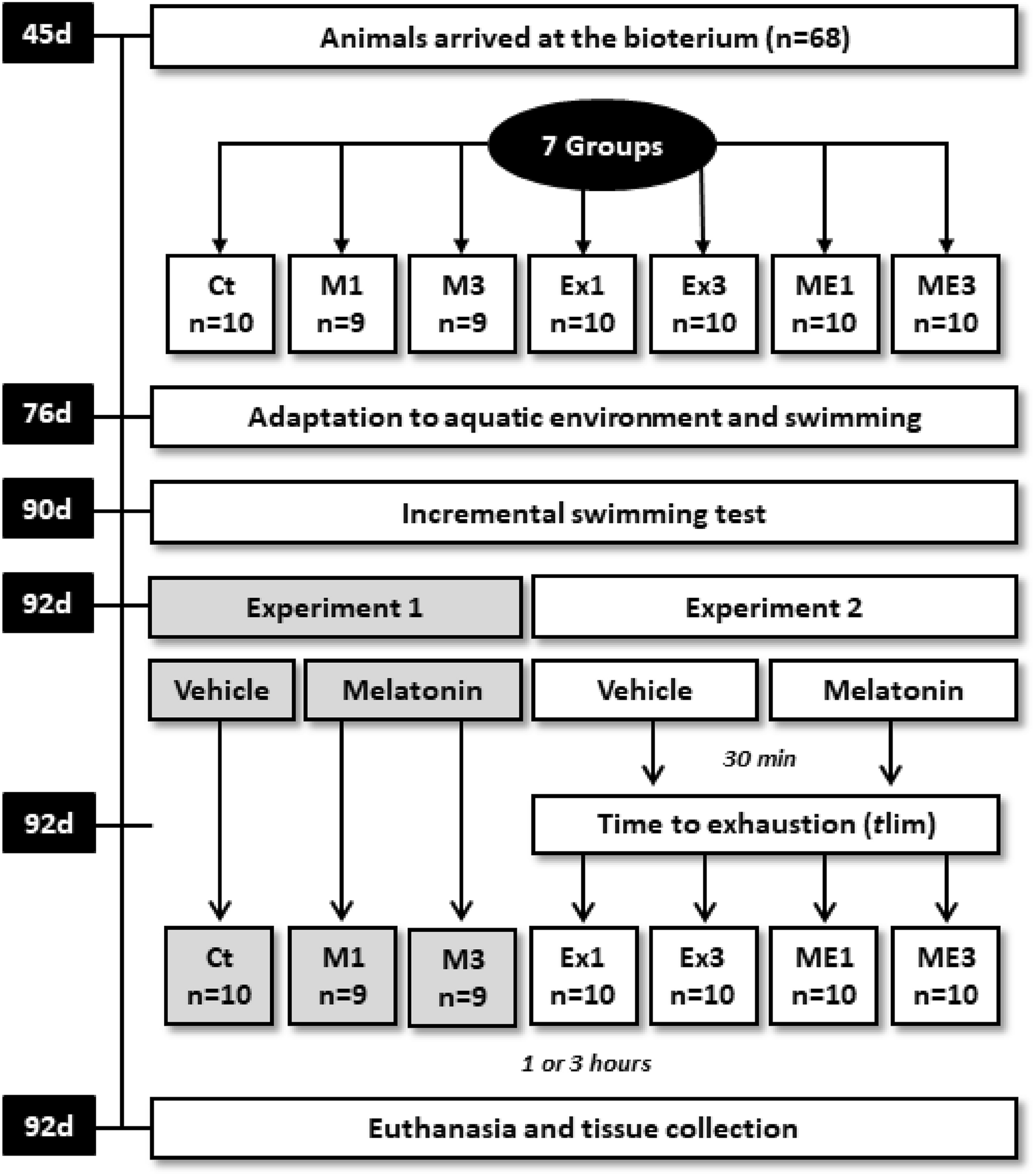 Acute melatonin administration improves