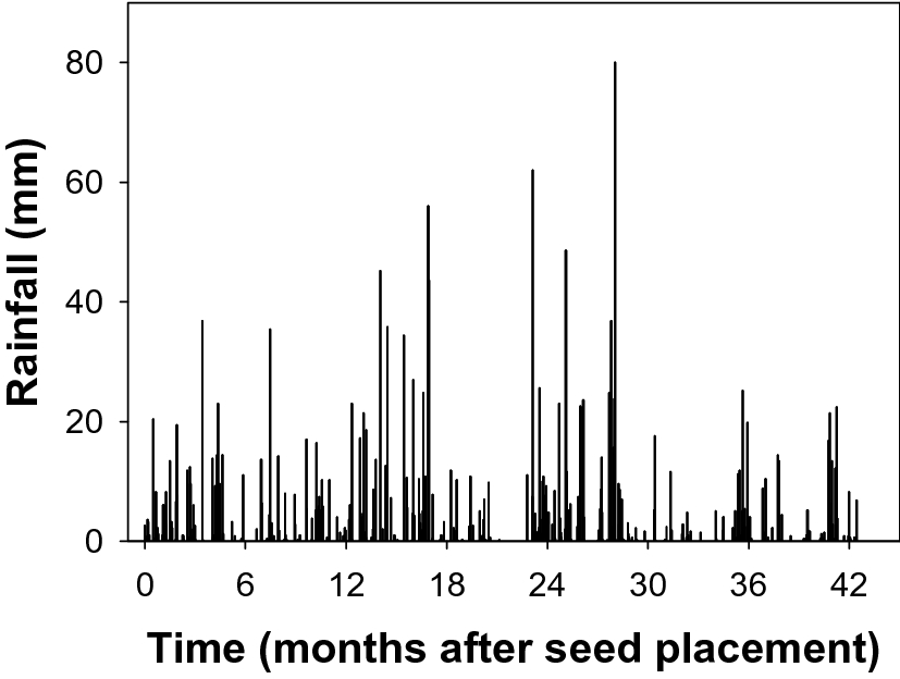 Seedbank Persistence And Emergence Pattern Of Argemone Mexicana Rapistrum Rugosum And Sonchus Oleraceus In The Eastern Grain Region Of Australia Scientific Reports Seedbank Persistence And Emergence Pattern Of Argemone Mexicana Rapistrum Rugosum And Sonchus Oleraceus In The Eastern Grain Region Of Australia Scientific Reports