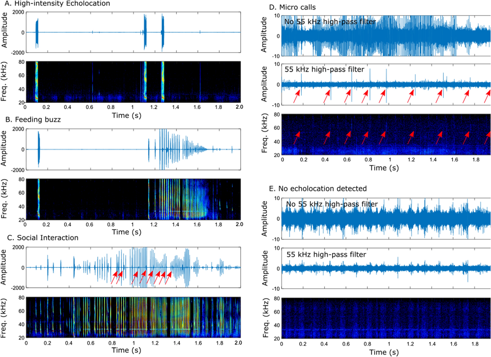 Silence And Reduced Echolocation During Flight Are Associated With Social Behaviors In Male Hoary Bats Lasiurus Cinereus Scientific Reports