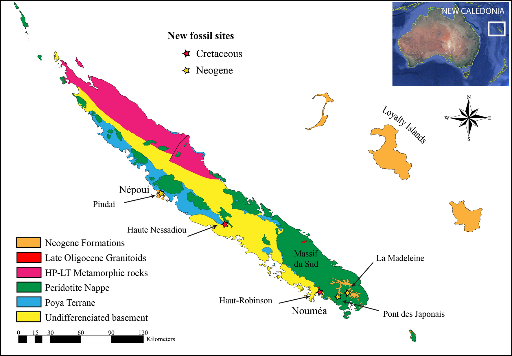 New fossil discoveries illustrate the diversity of past terrestrial  ecosystems in New Caledonia | Scientific Reports