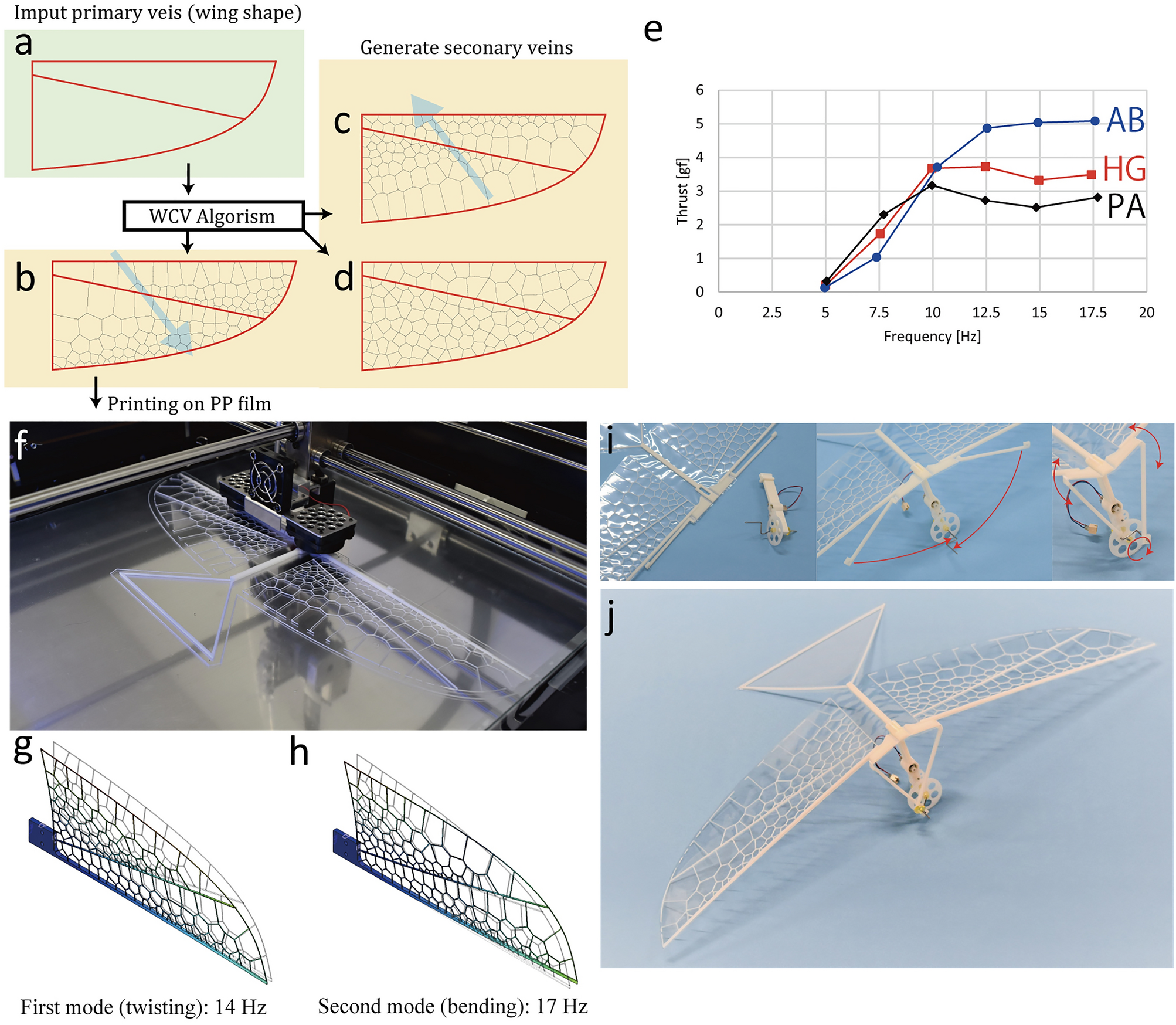Insect 3D Scientific Reports