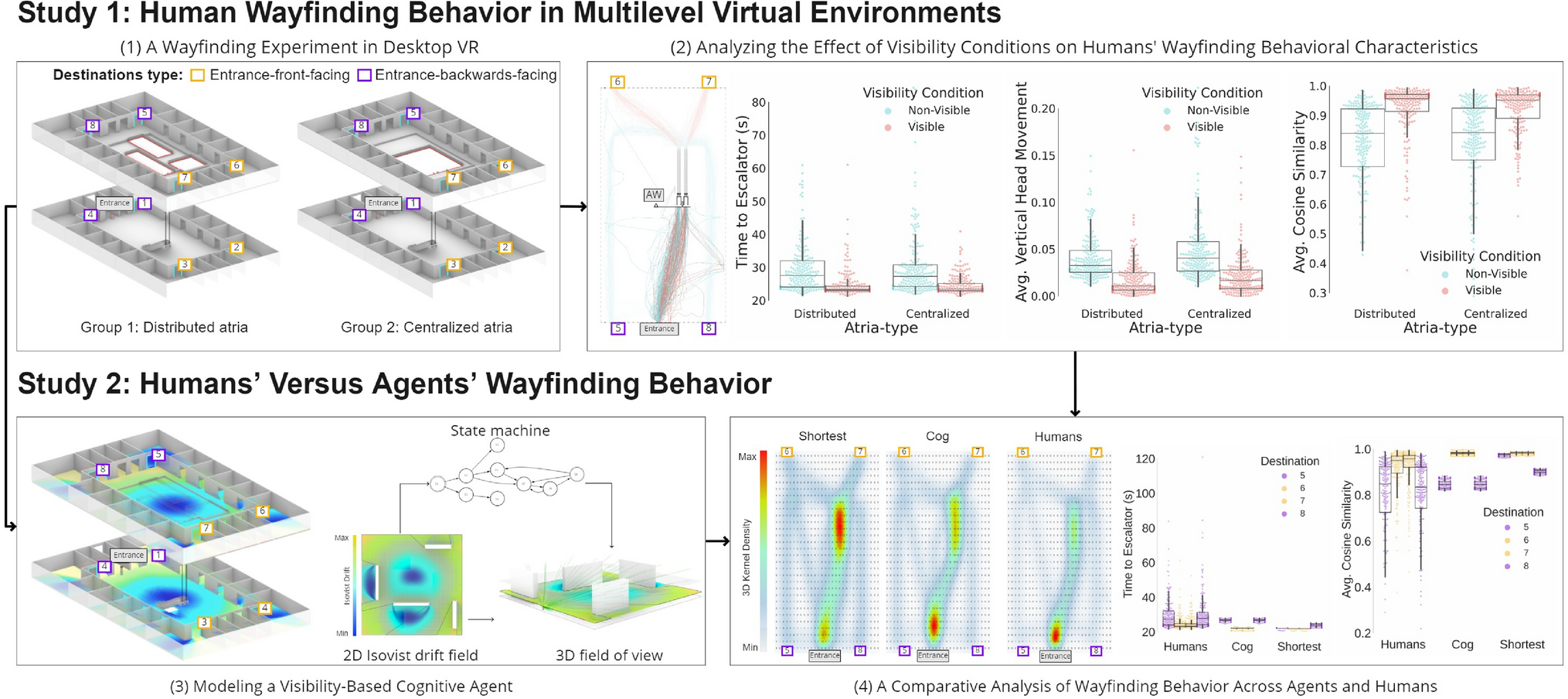 Visibility matters during wayfinding in the vertical | Scientific Reports