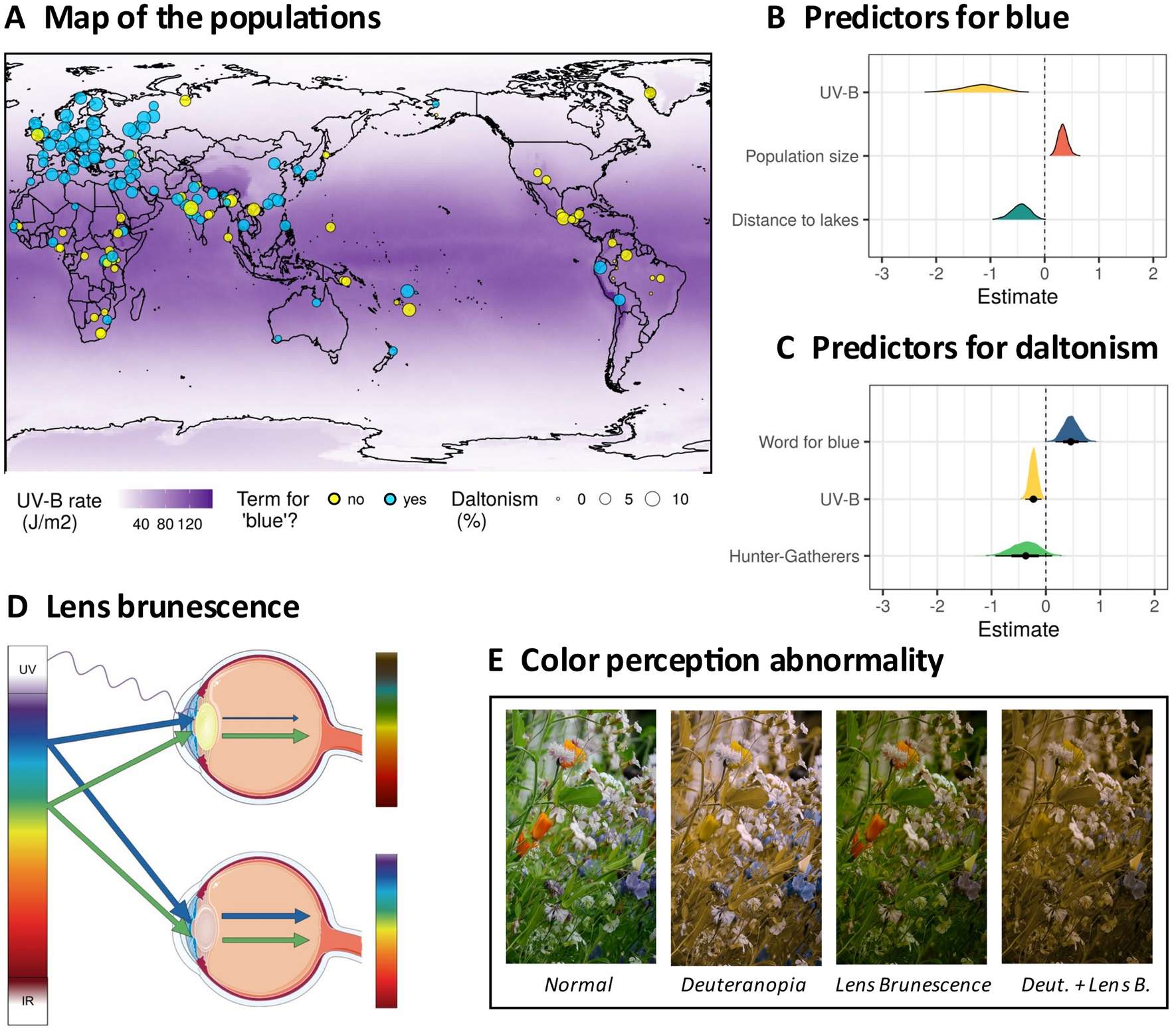 Color Table: Color & Perception Science Activity