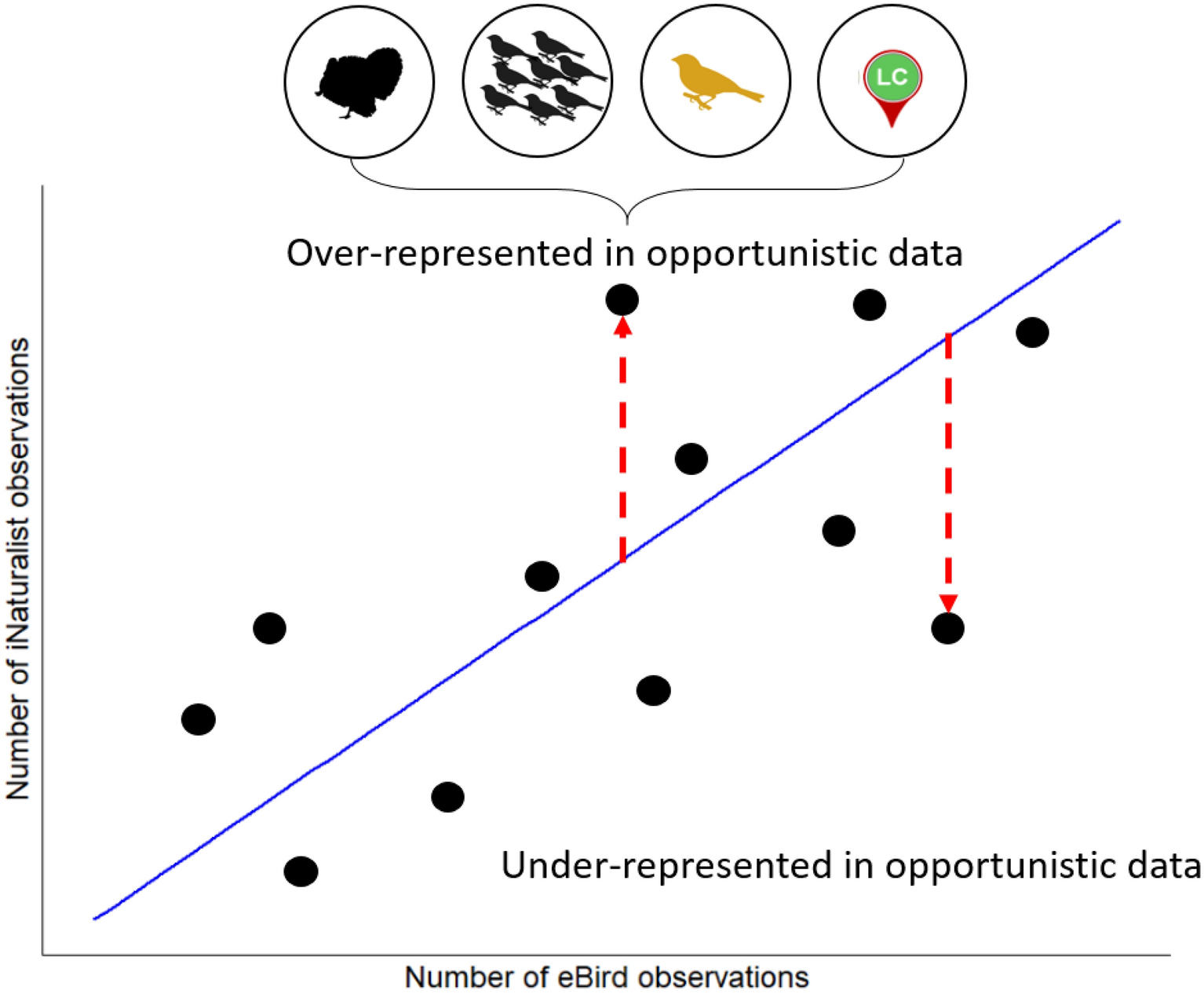 Large-bodied birds are over-represented in unstructured citizen science data Scientific Reports