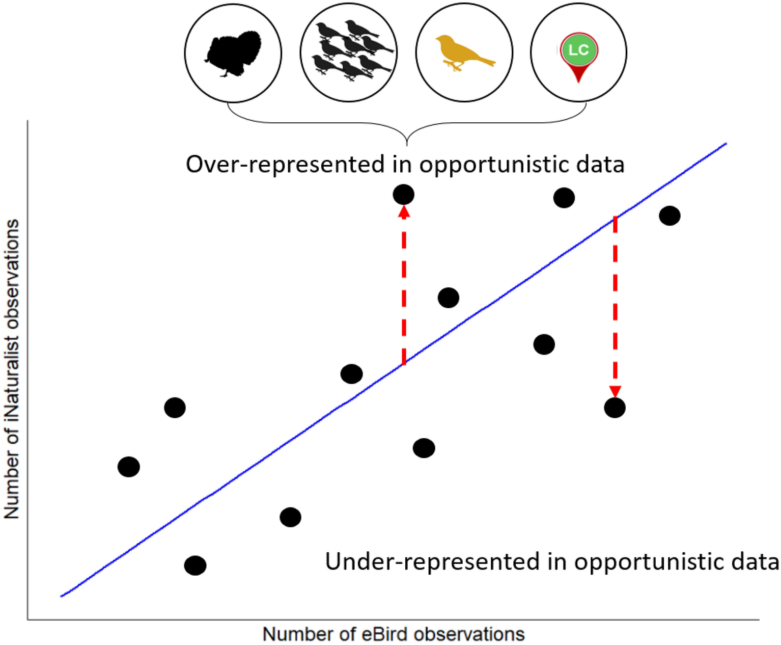 Large-bodied birds are over-represented in unstructured citizen science data Scientific Reports picture photo