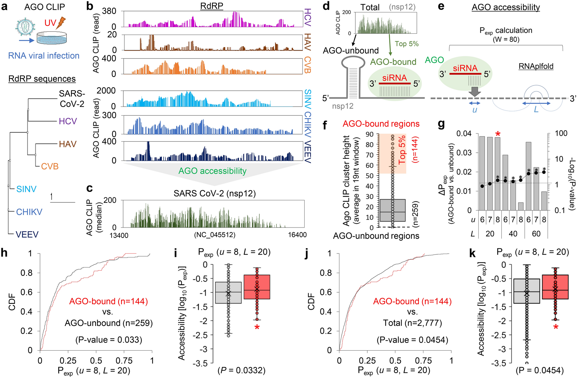 AGO CLIP-based imputation of potent siRNA sequences targeting SARS-CoV-2  with antifibrotic miRNA-like activity | Scientific Reports
