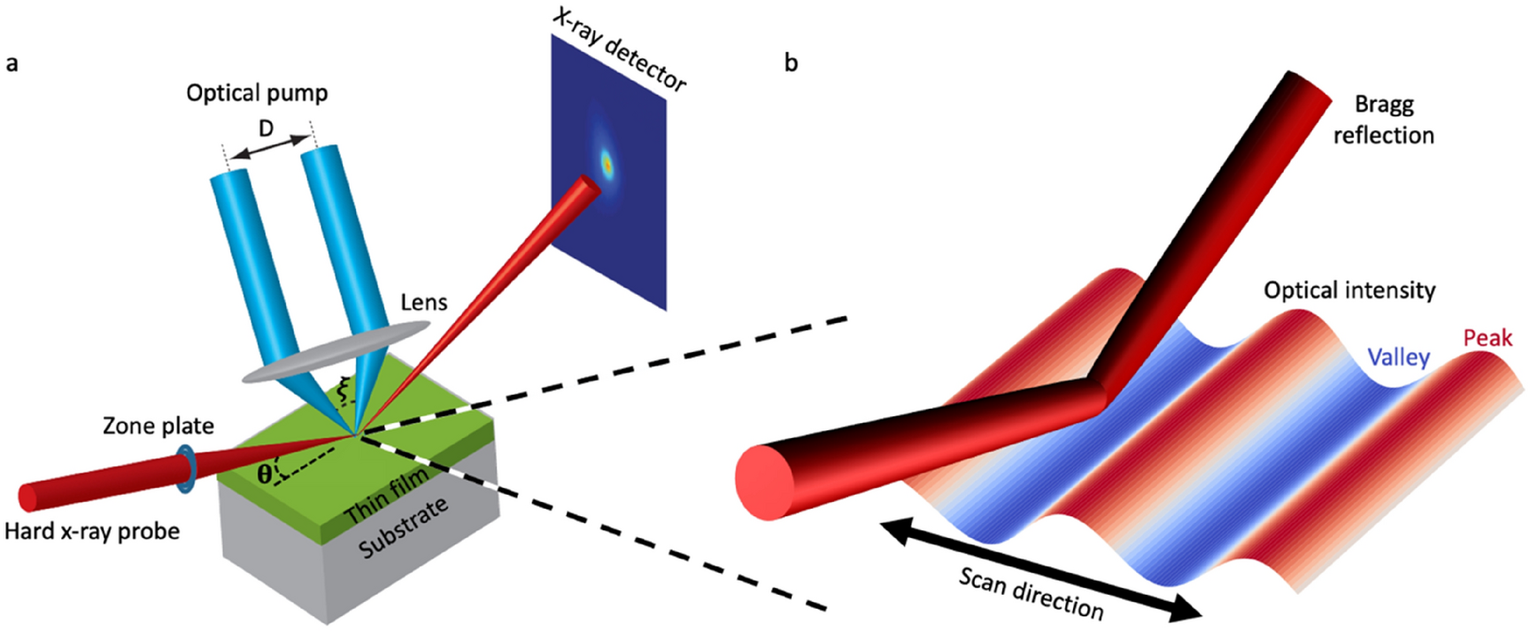 Optical transient grating pumped X-ray diffraction microscopy for studying  mesoscale structural dynamics | Scientific Reports