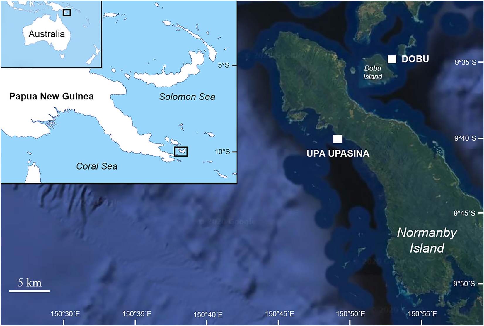 Coral micro- and macro-morphological skeletal properties in response to  life-long acclimatization at CO2 vents in Papua New Guinea | Scientific  Reports